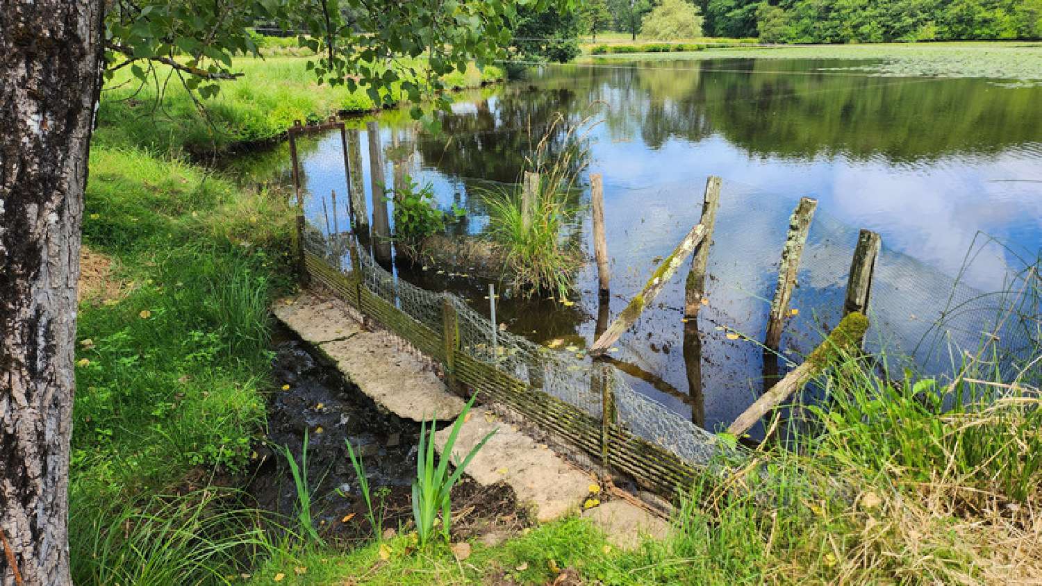 te koop terrein Oradour-sur-Glane Haute-Vienne 4