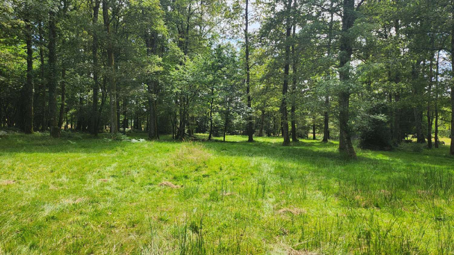  te koop terrein Oradour-sur-Glane Haute-Vienne 5