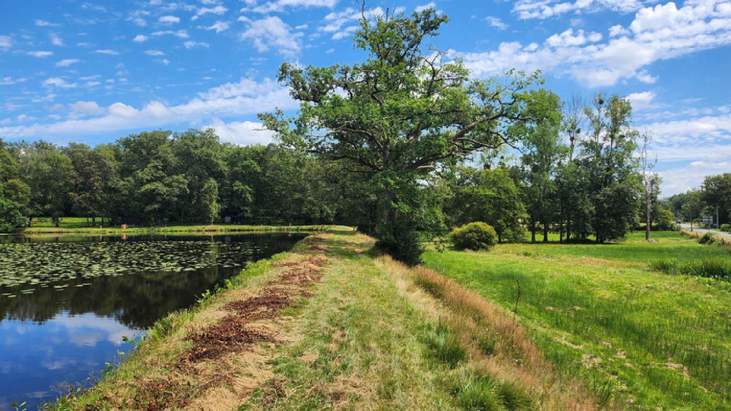  te koop terrein Oradour-sur-Glane Haute-Vienne 8