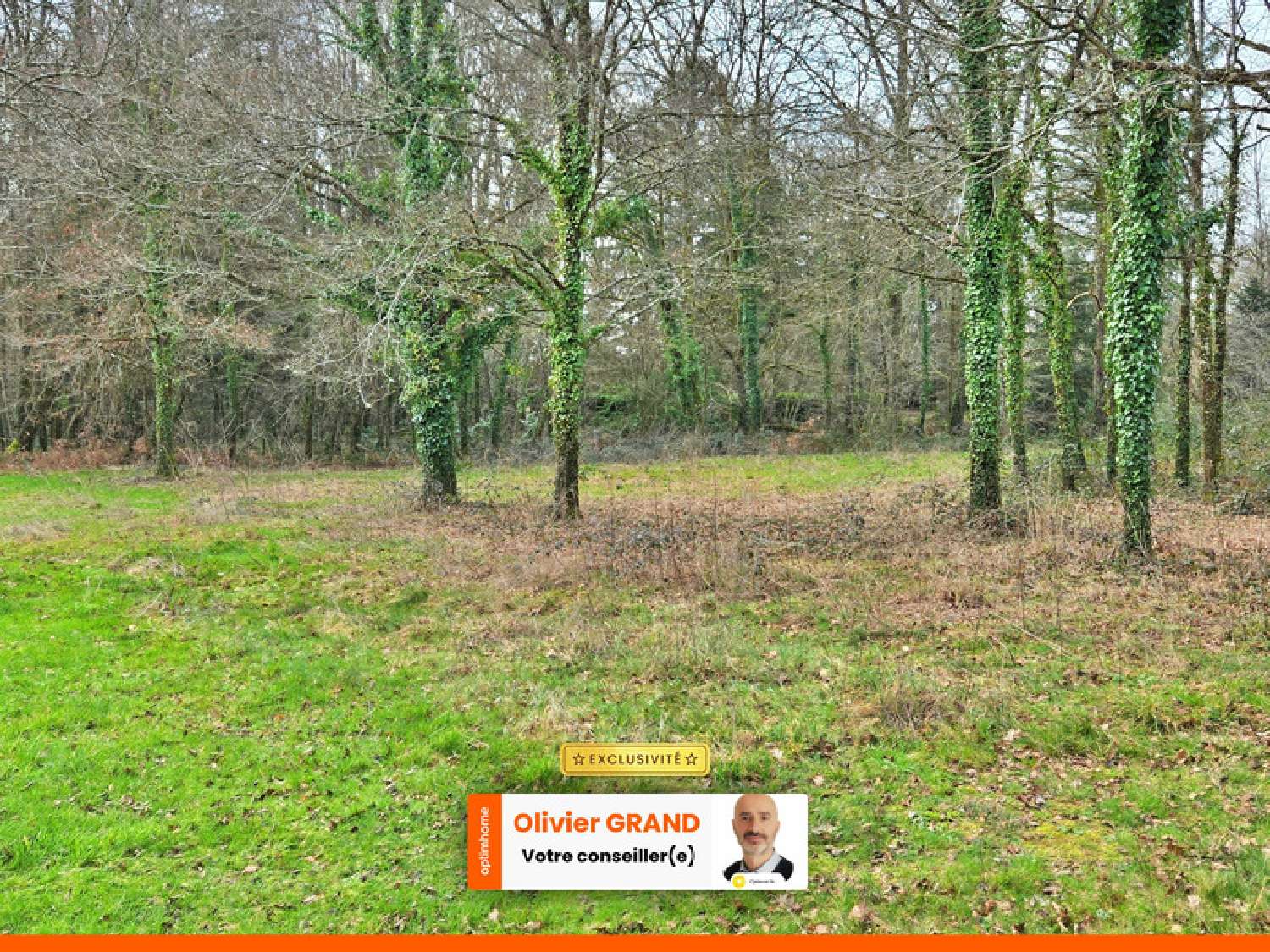  te koop terrein Oradour-sur-Glane Haute-Vienne 4