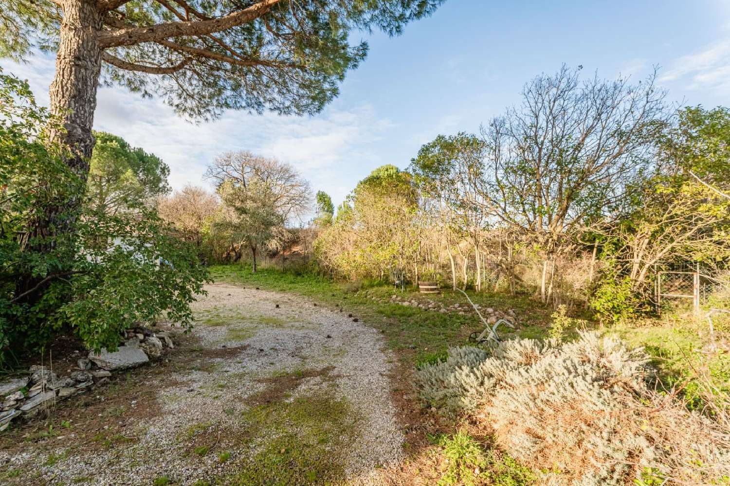  à vendre terrain Paulhan Hérault 1