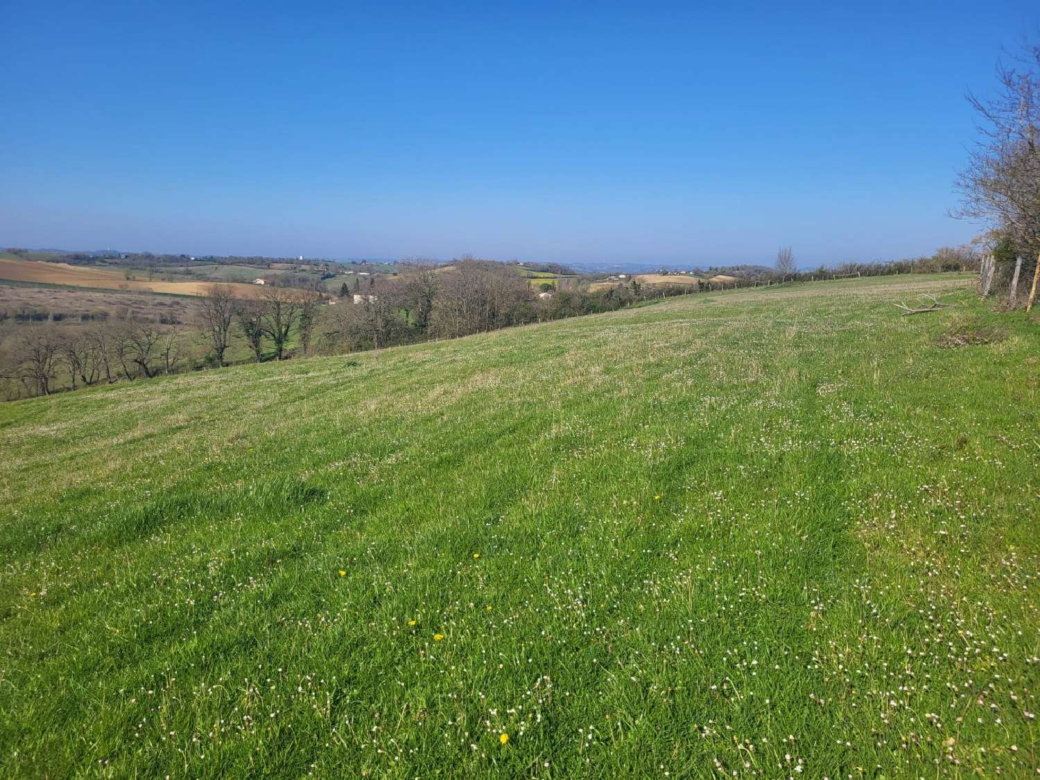  kaufen Grundstück Pébées Gers 3