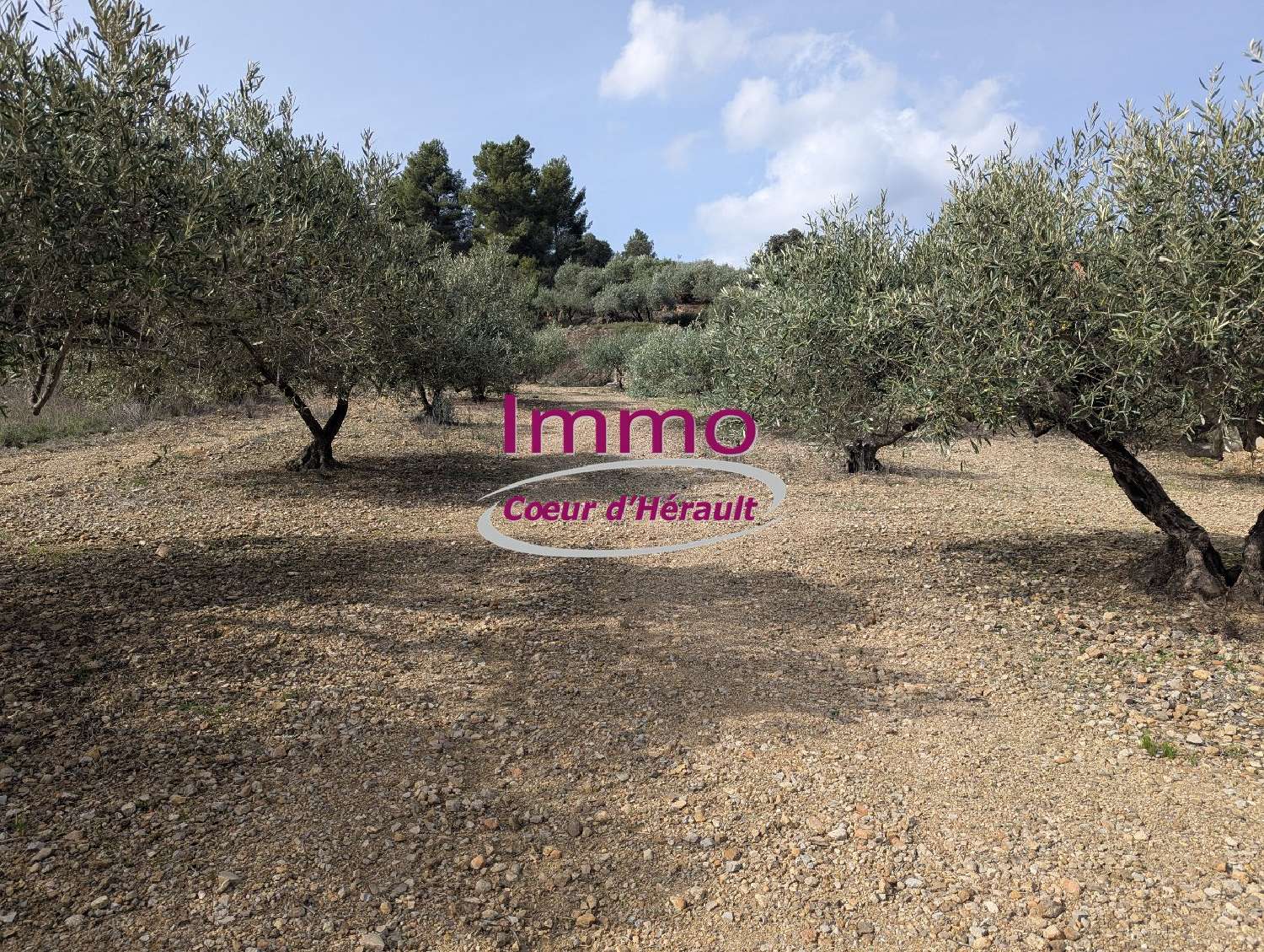  te koop terrein Péret Hérault 5