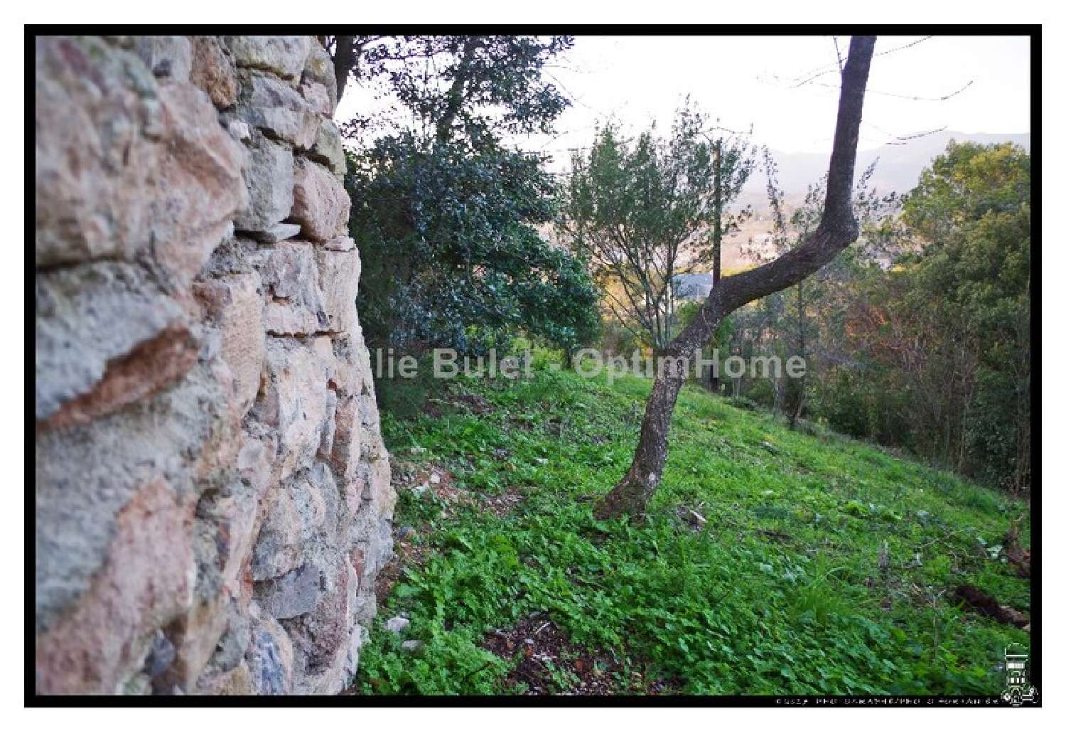  te koop terrein Pierrerue Hérault 2