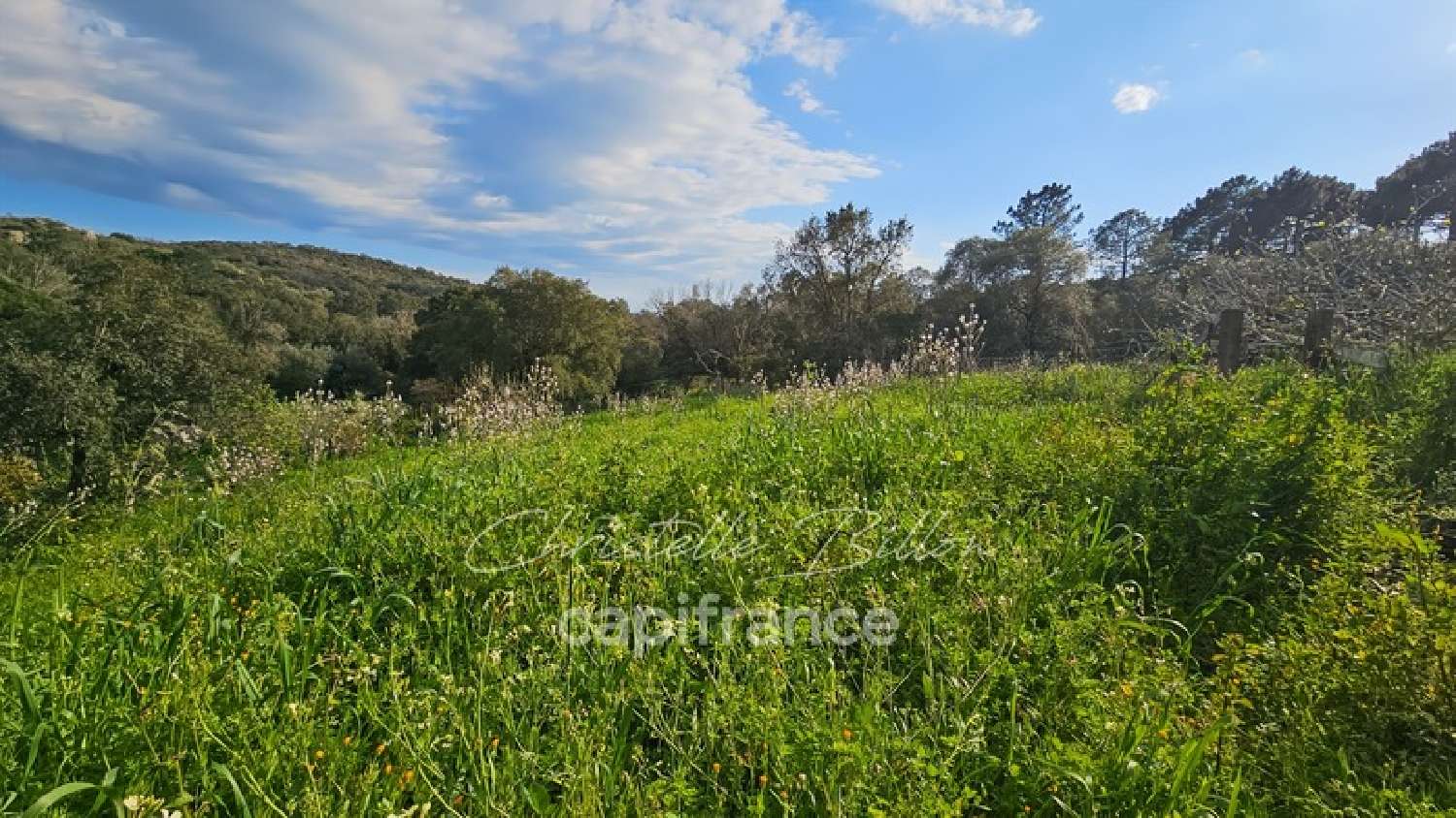 te koop terrein Porto-Vecchio Corse-du-Sud 1