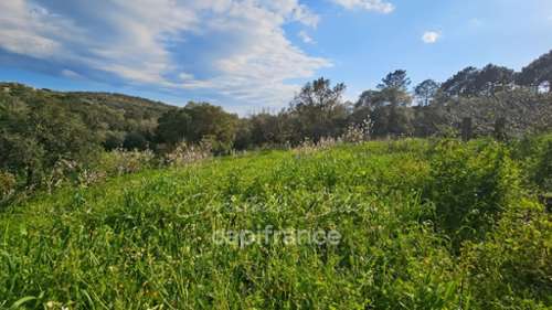 Porto-Vecchio Corse-du-Sud terrein foto 7297652