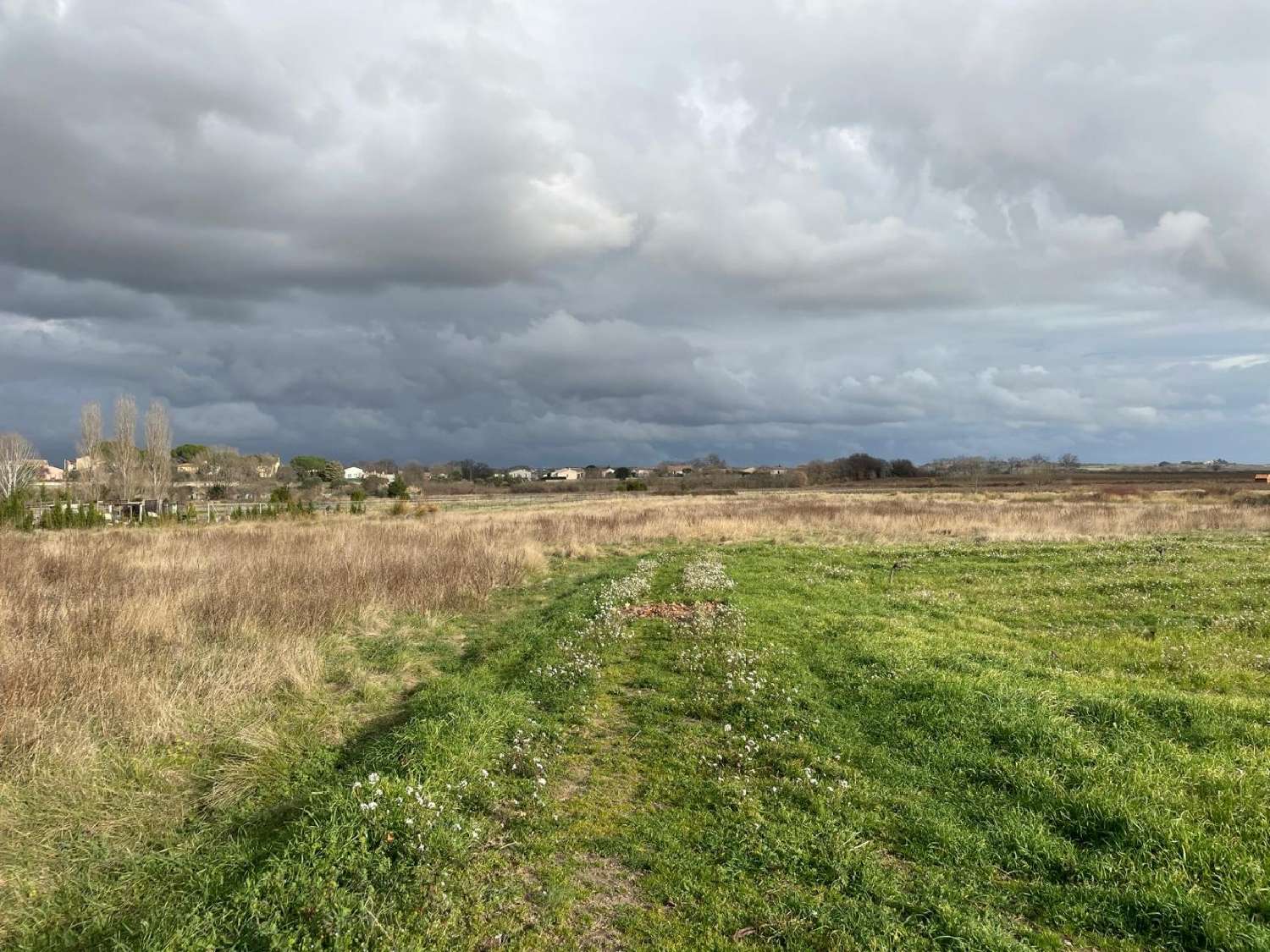 kaufen Grundstück Pouzolles Hérault 4