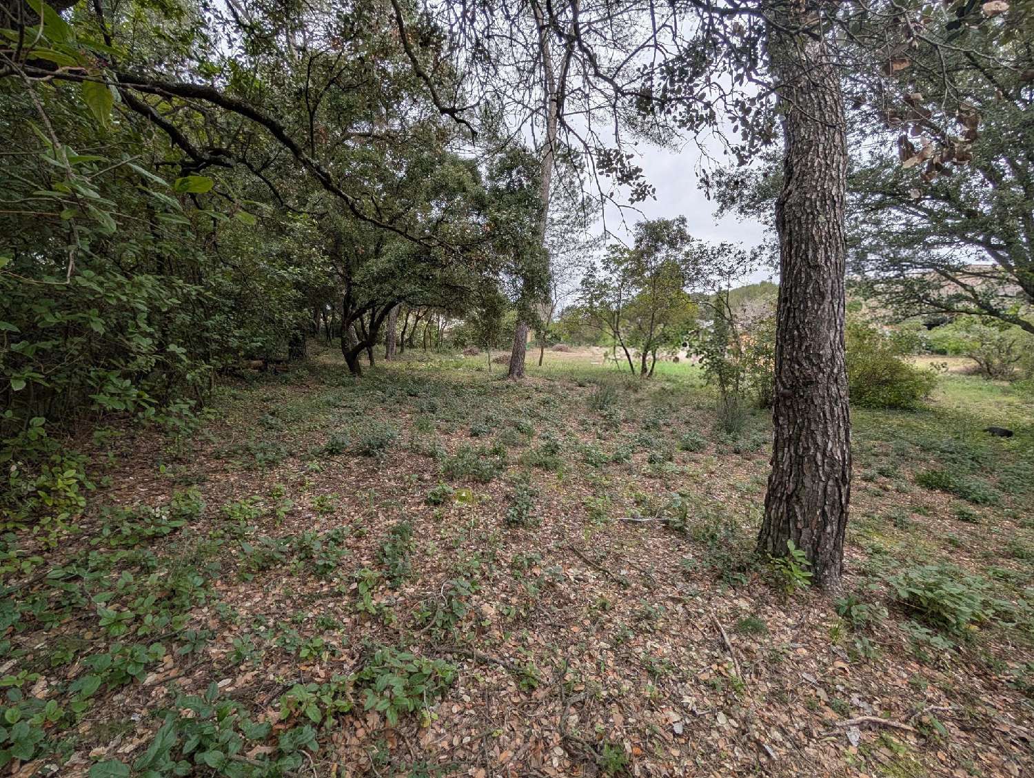  kaufen Grundstück Prades-le-Lez Hérault 1