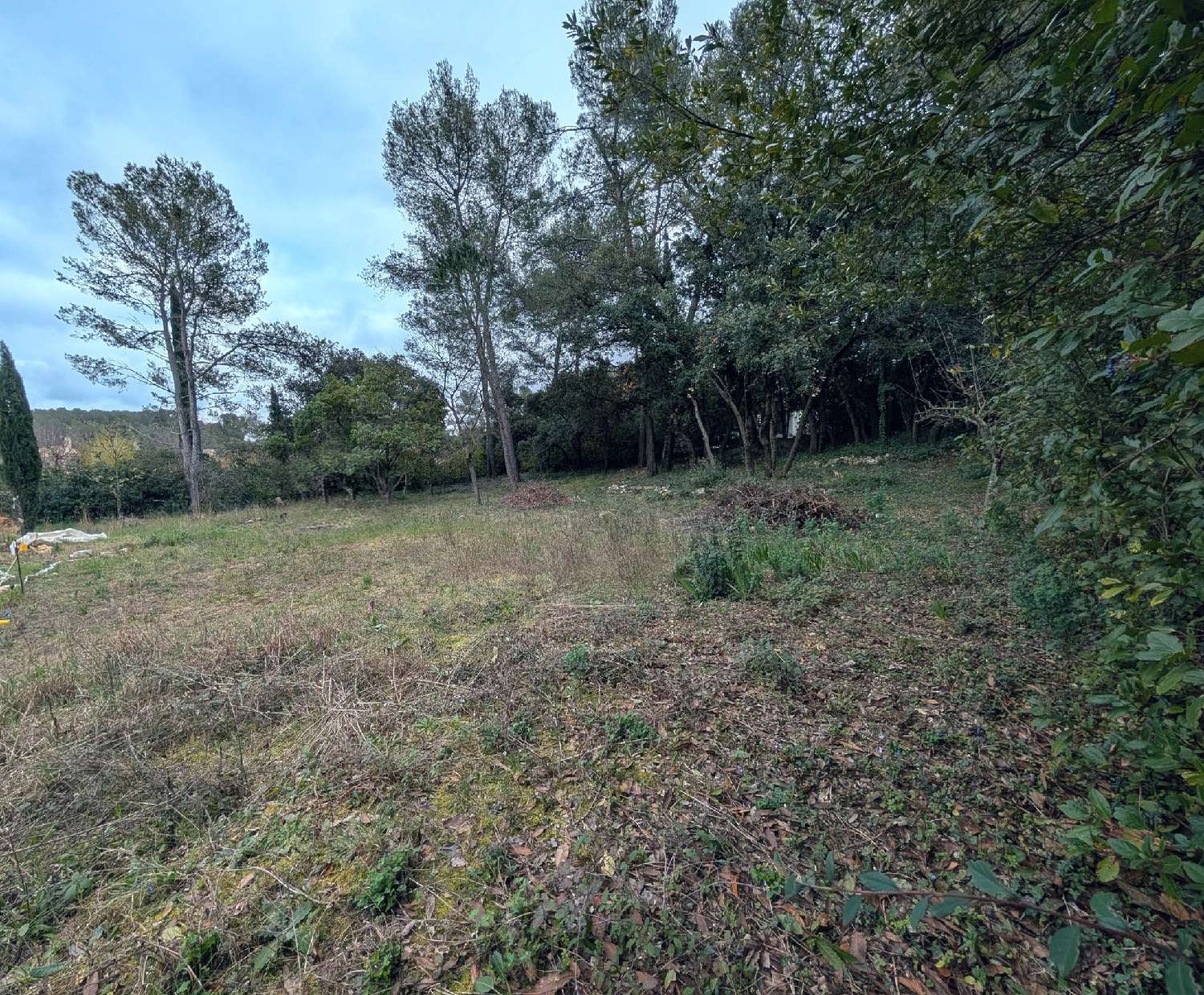  kaufen Grundstück Prades-le-Lez Hérault 2