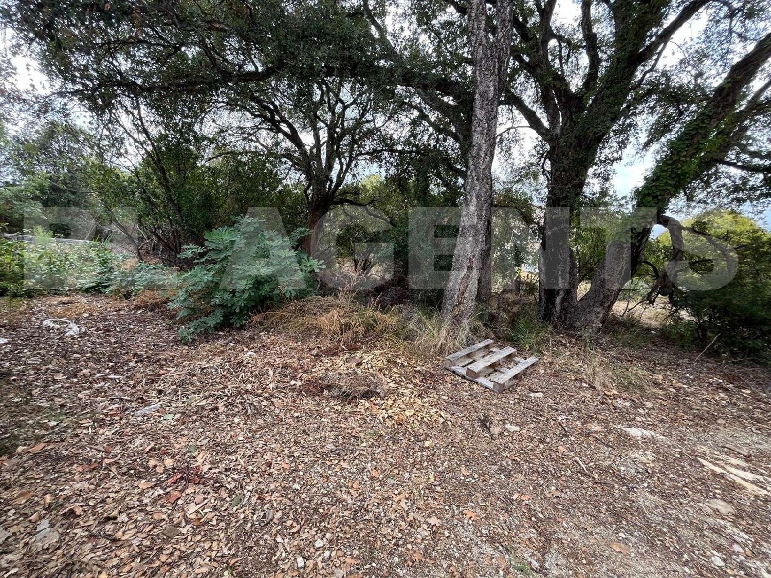  à vendre terrain Prunelli-di-Fiumorbo Haute-Corse 1