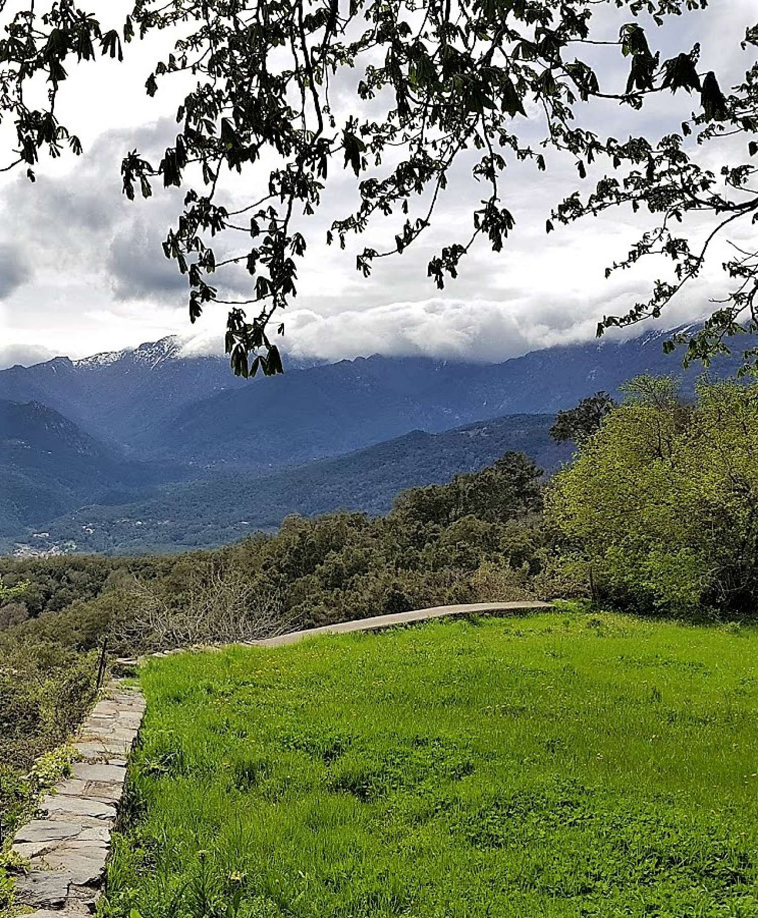 te koop terrein Prunelli-di-Fiumorbo Haute-Corse 2