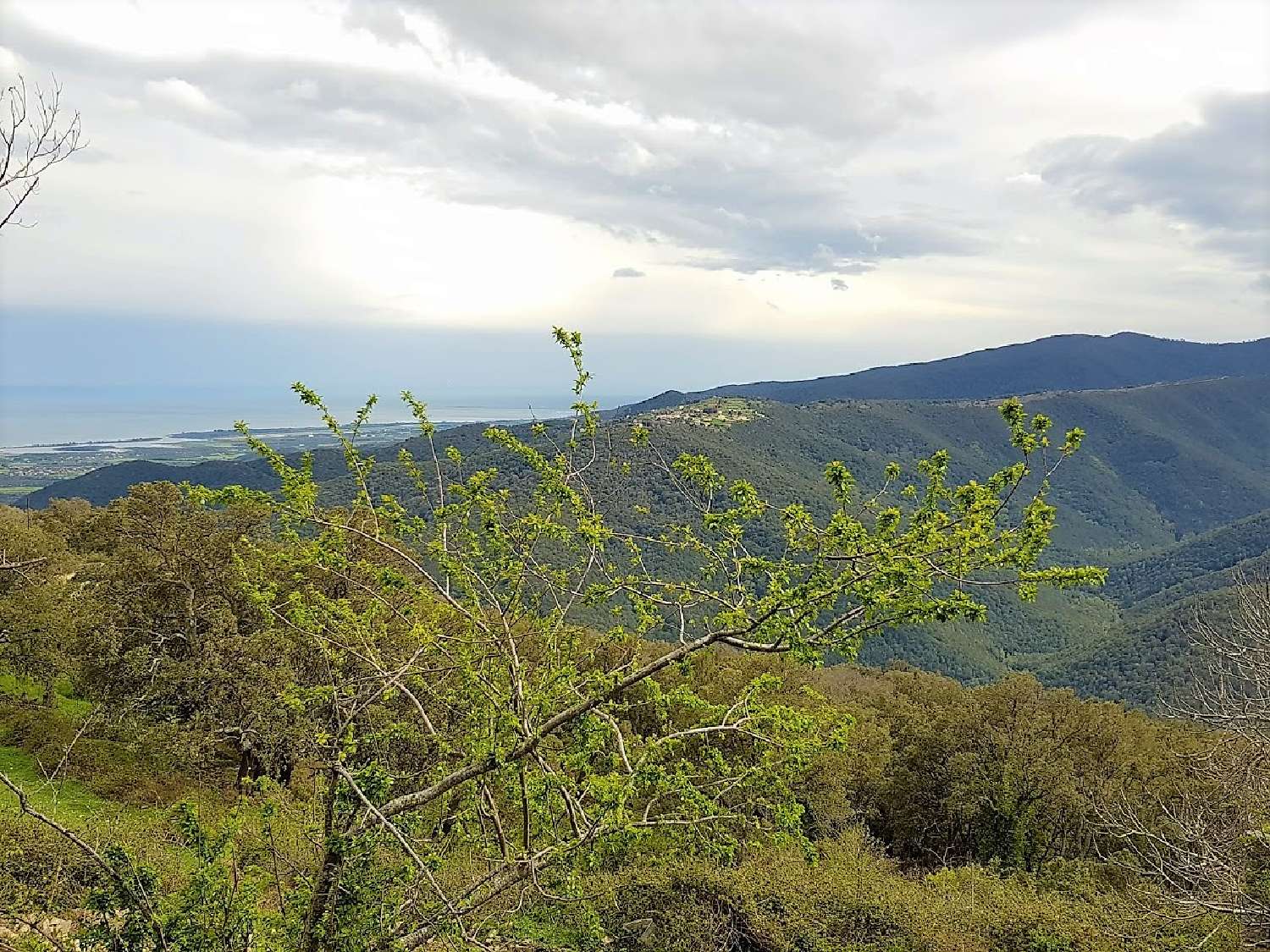 te koop terrein Prunelli-di-Fiumorbo Haute-Corse 4