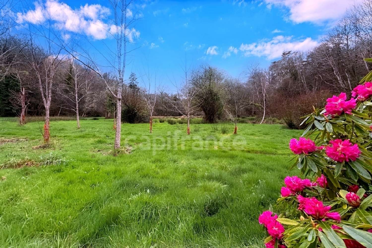  kaufen Grundstück Quimper Finistère 1