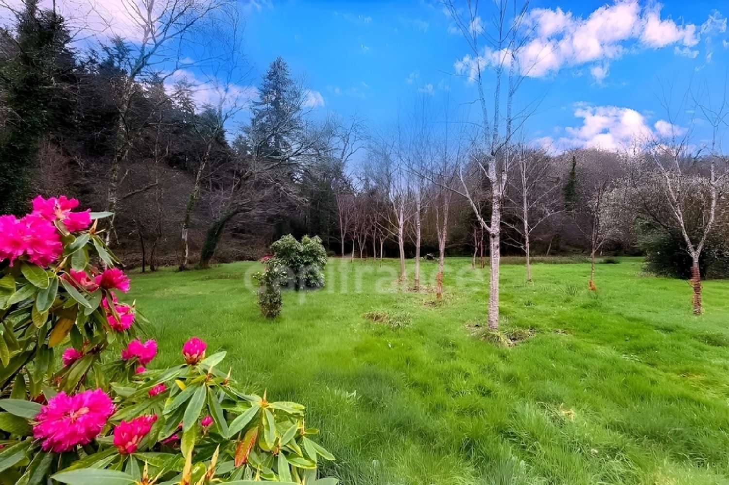  kaufen Grundstück Quimper Finistère 3