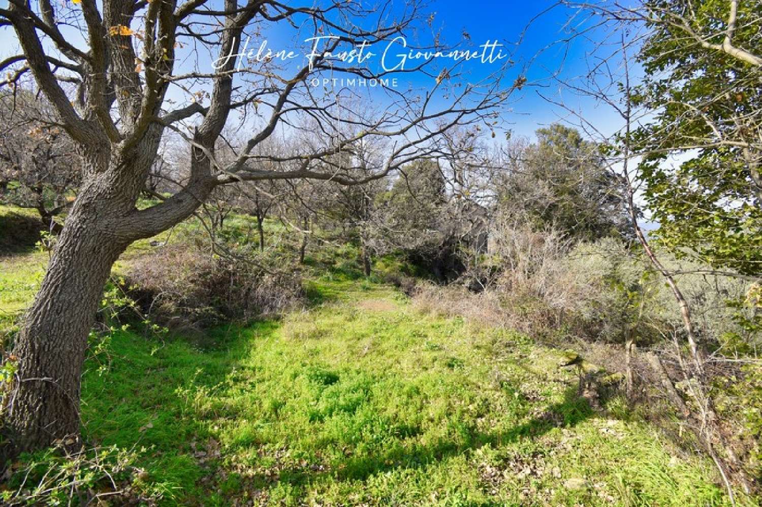  en venta terreno Rapale Haute-Corse 2