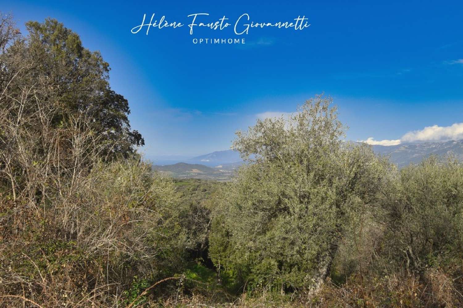  en venta terreno Rapale Haute-Corse 7