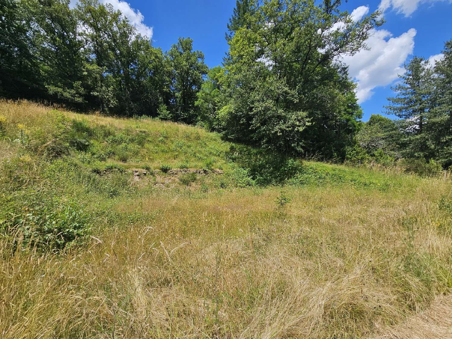 en venta terreno Rignac Aveyron 1