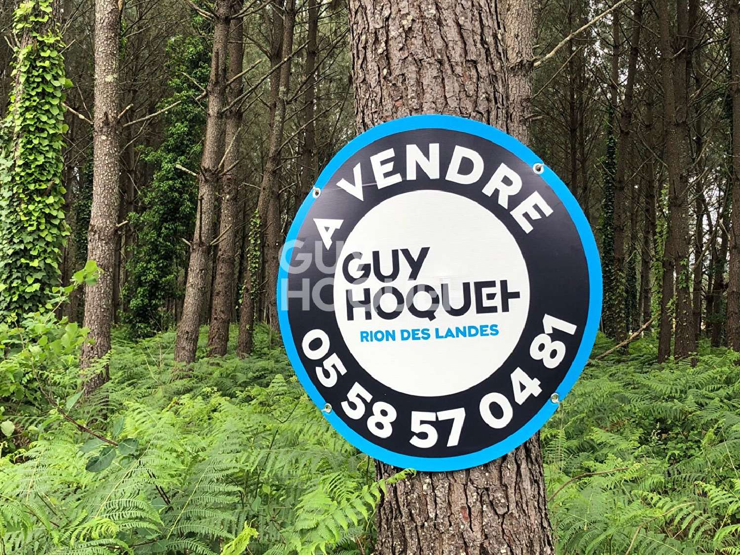  te koop terrein Rion-des-Landes Landes 1