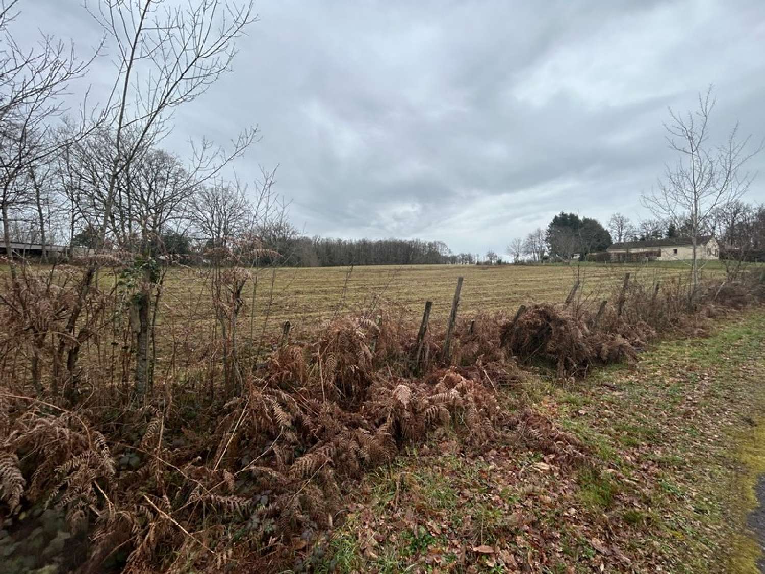  te koop terrein Saint-Amand-Magnazeix Haute-Vienne 4