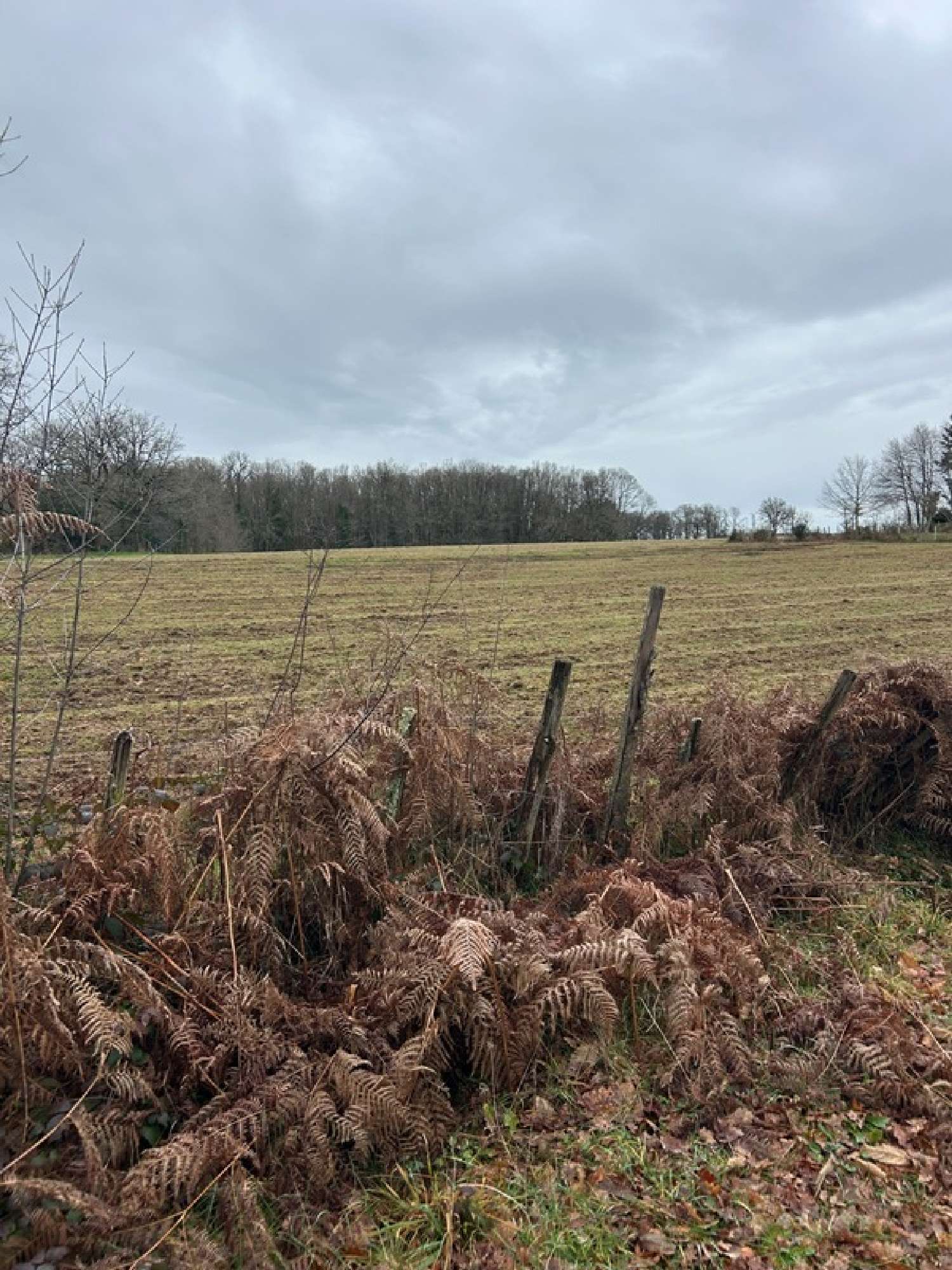  te koop terrein Saint-Amand-Magnazeix Haute-Vienne 5