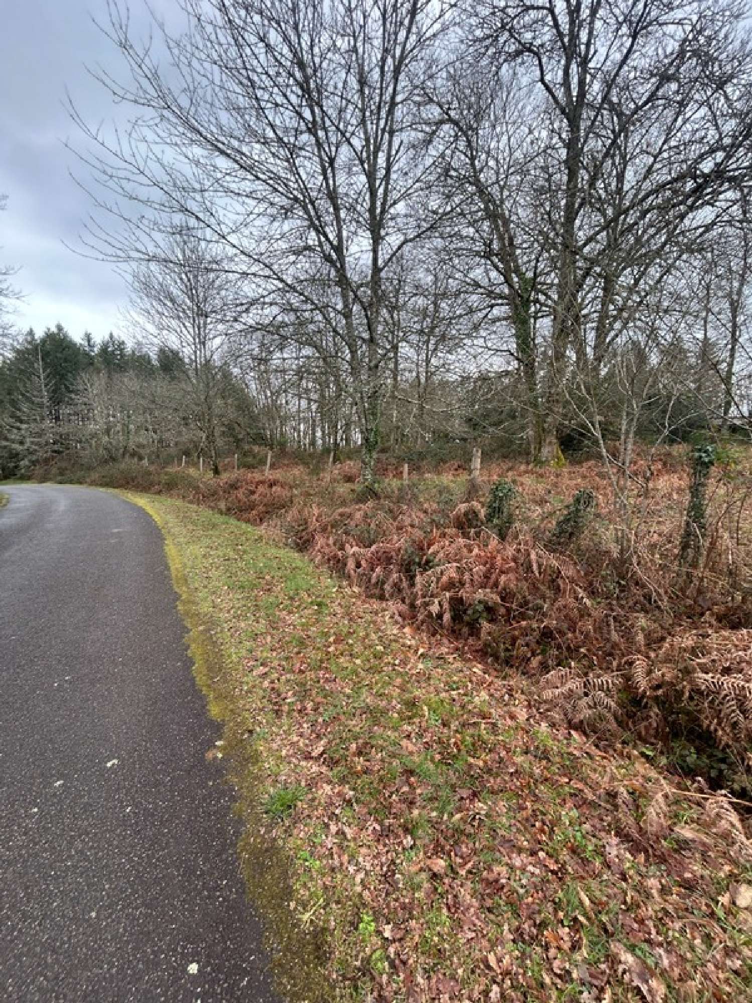  te koop terrein Saint-Amand-Magnazeix Haute-Vienne 6