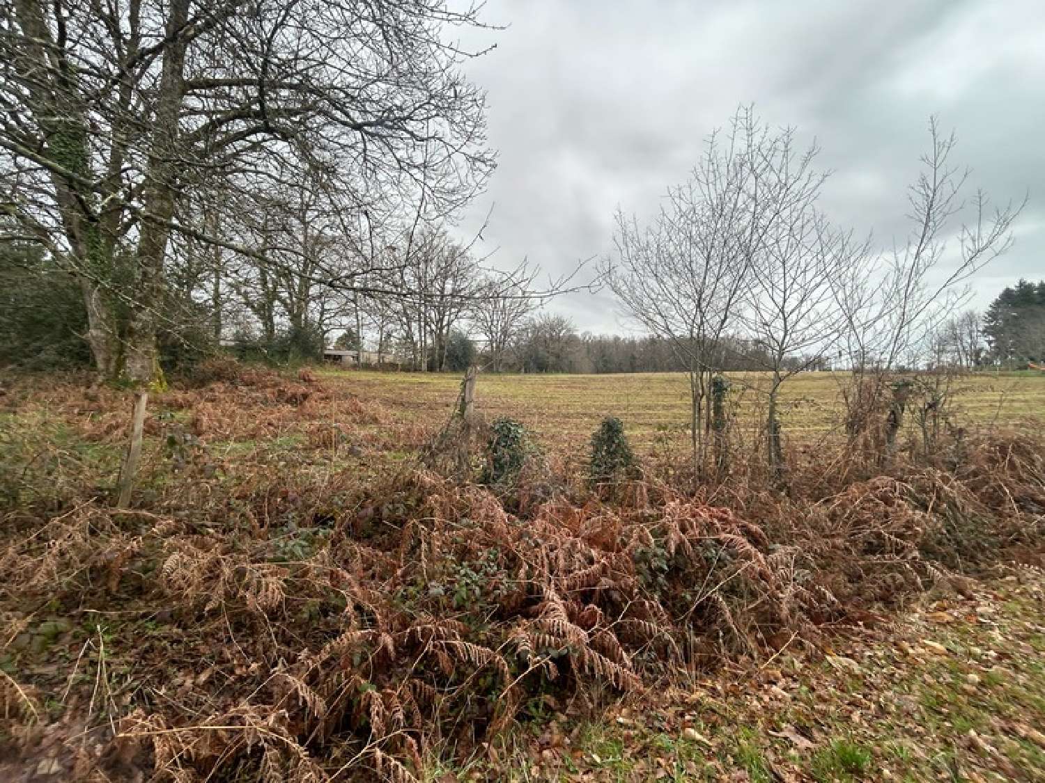  te koop terrein Saint-Amand-Magnazeix Haute-Vienne 7