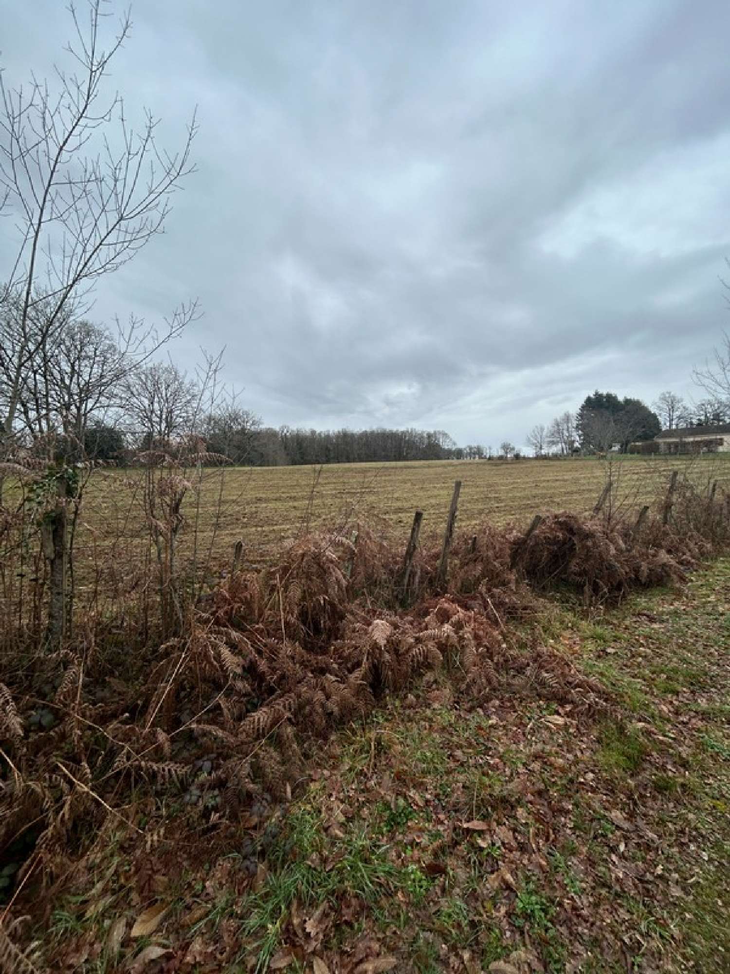  te koop terrein Saint-Amand-Magnazeix Haute-Vienne 2