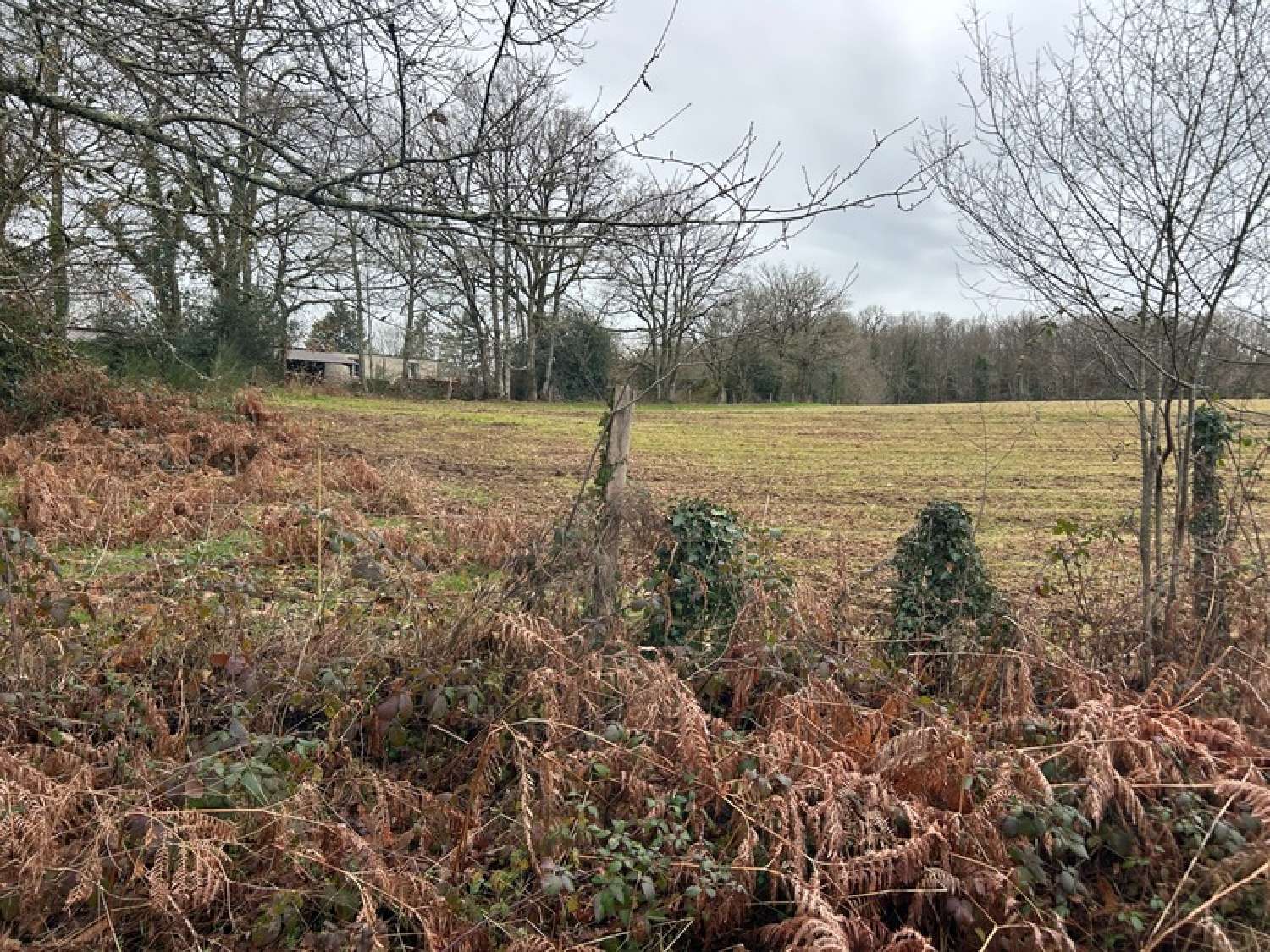  te koop terrein Saint-Amand-Magnazeix Haute-Vienne 8