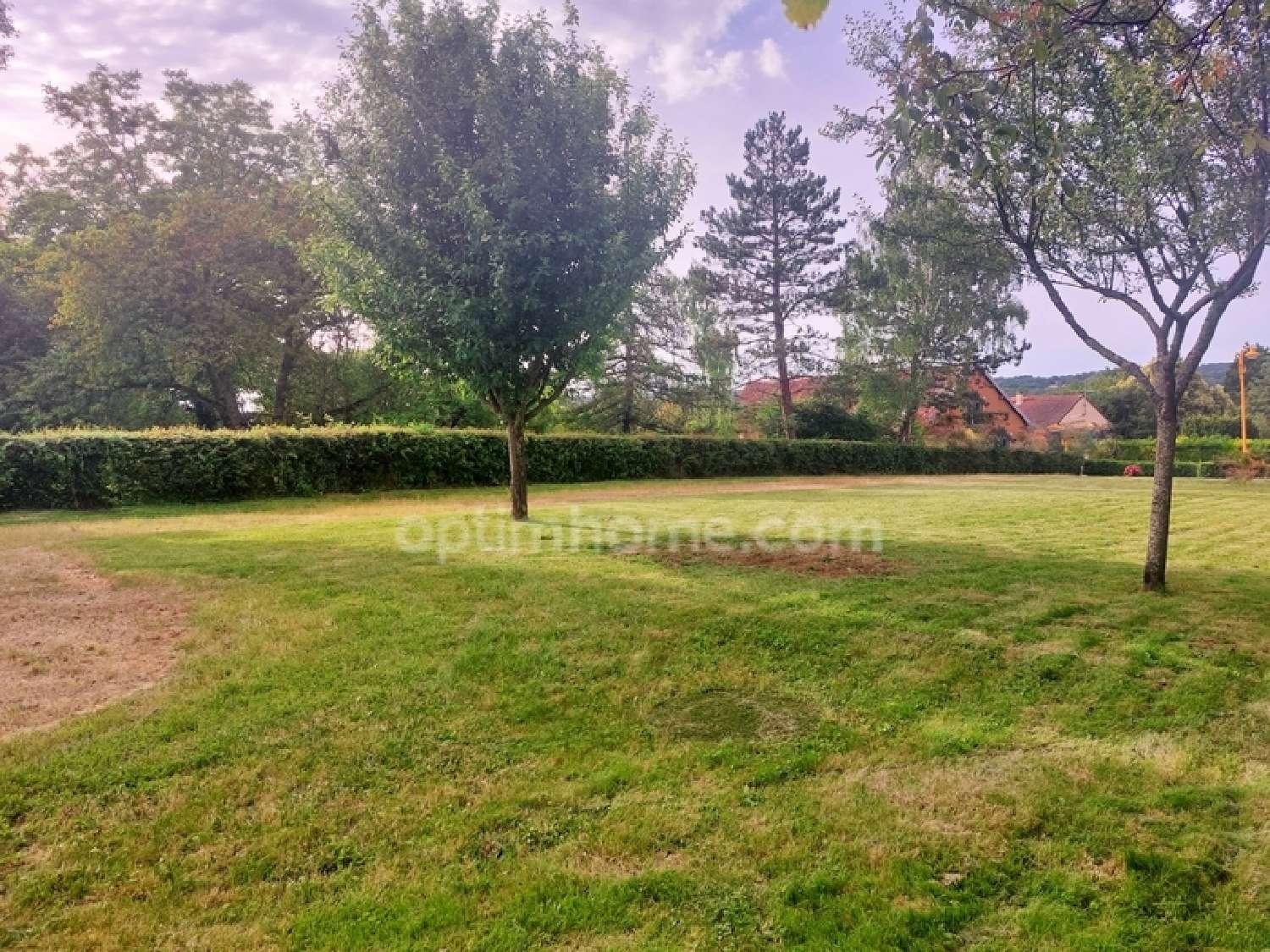  for sale terrain Saint-Amand-en-Puisaye Nièvre 3