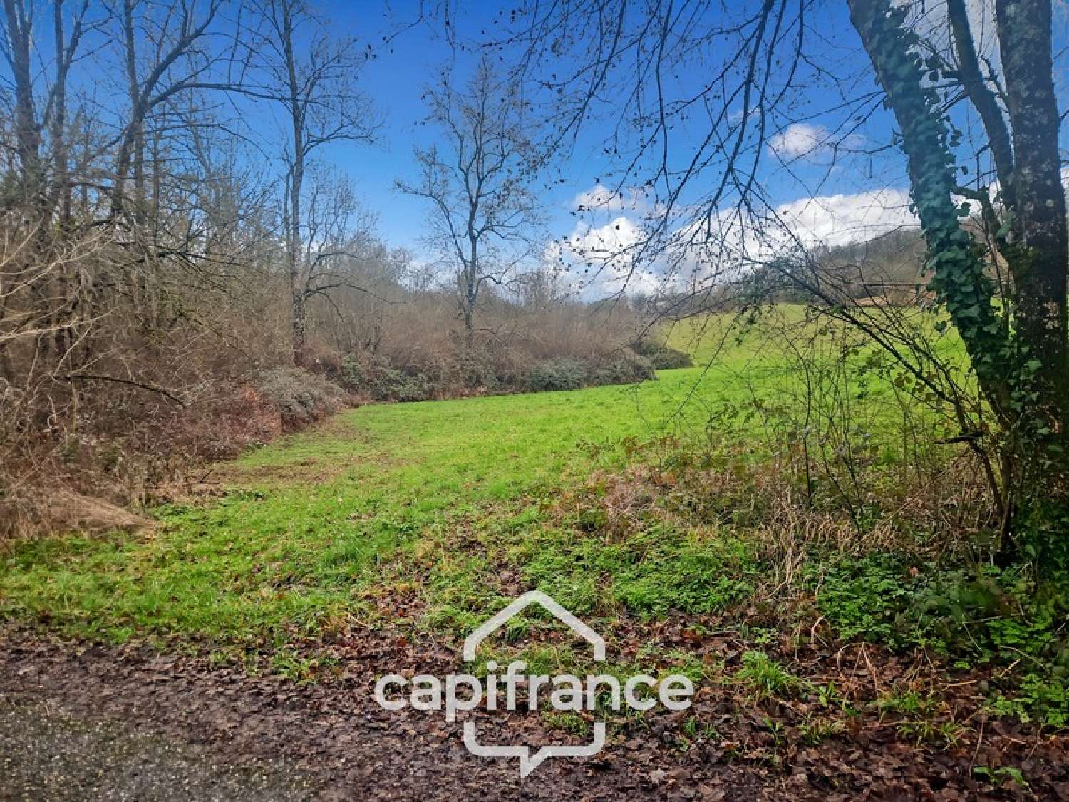  for sale terrain Saint-Caprais-de-Lerm Lot-et-Garonne 3