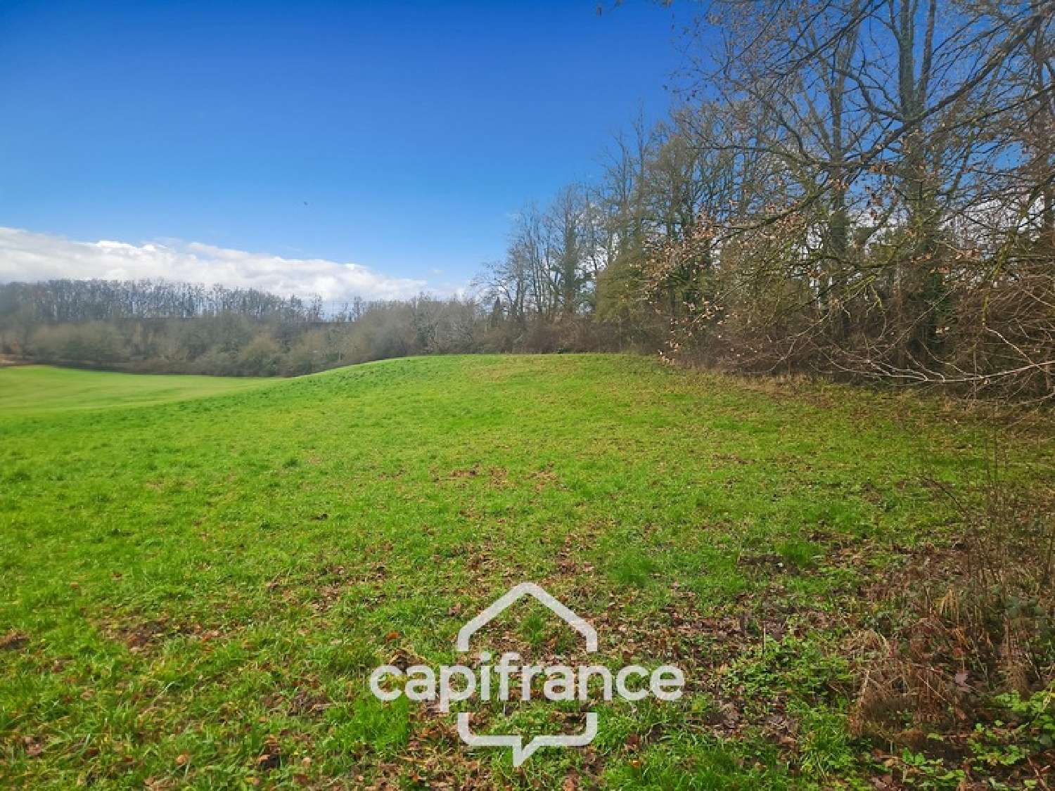  for sale terrain Saint-Caprais-de-Lerm Lot-et-Garonne 4