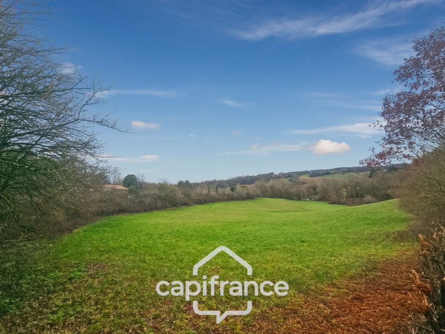  for sale terrain Saint-Caprais-de-Lerm Lot-et-Garonne 5
