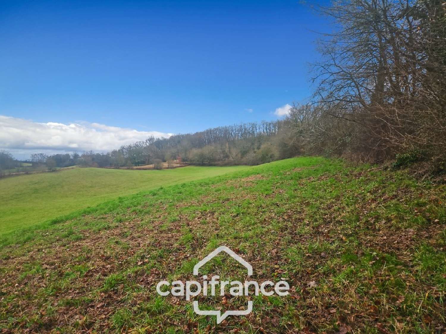  for sale terrain Saint-Caprais-de-Lerm Lot-et-Garonne 7