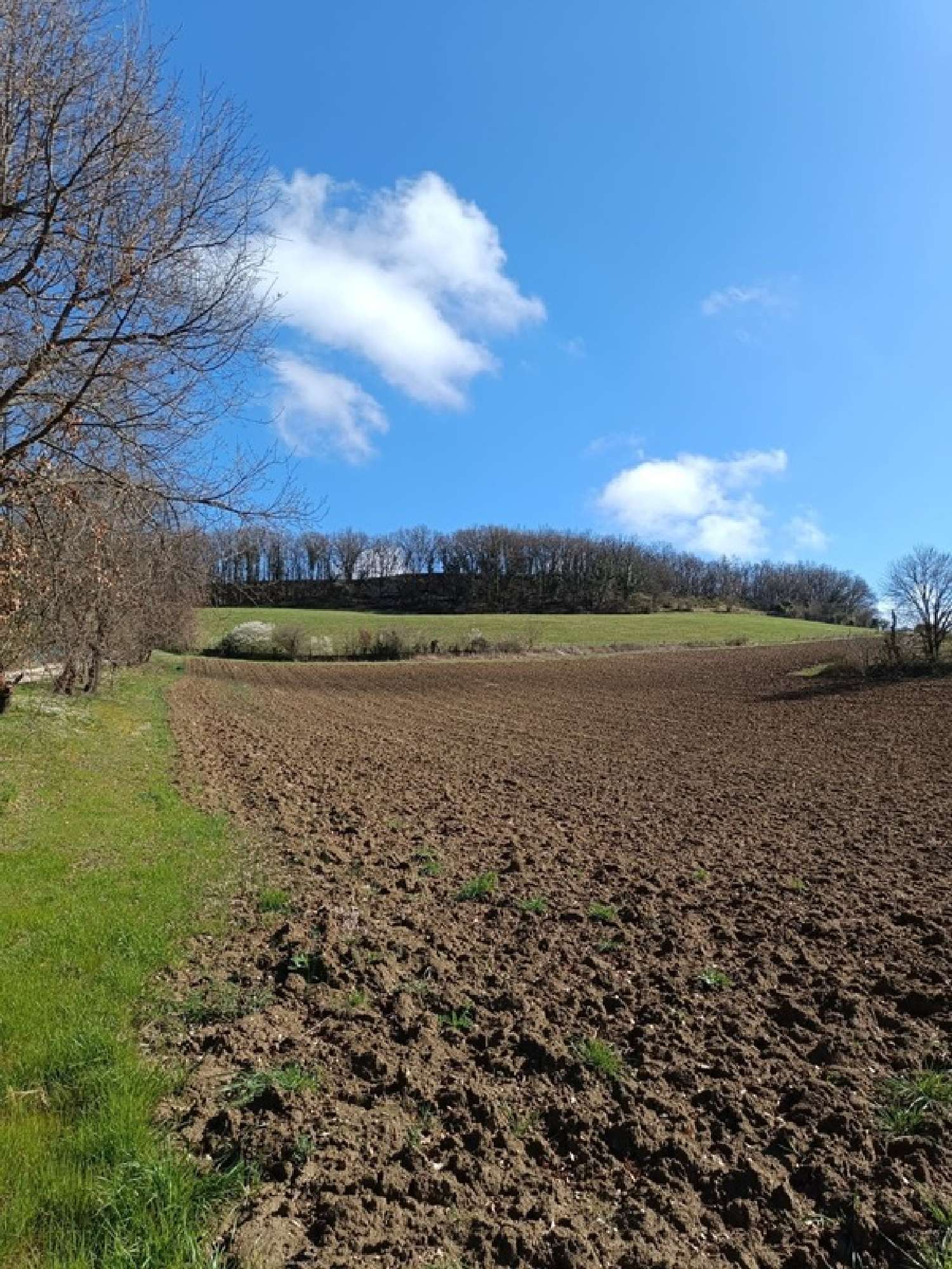 te koop terrein Saint-Caprais-de-Lerm Lot-et-Garonne 5