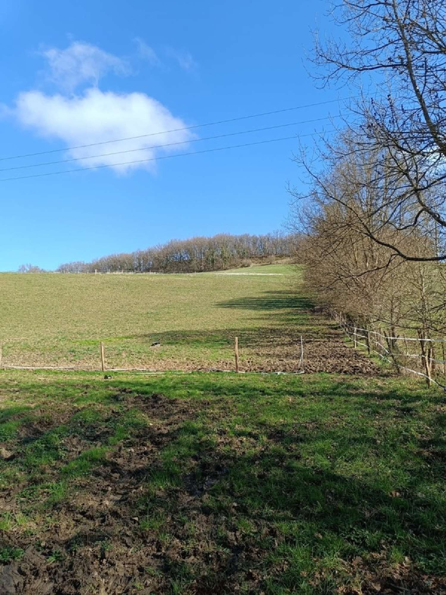 te koop terrein Saint-Caprais-de-Lerm Lot-et-Garonne 6