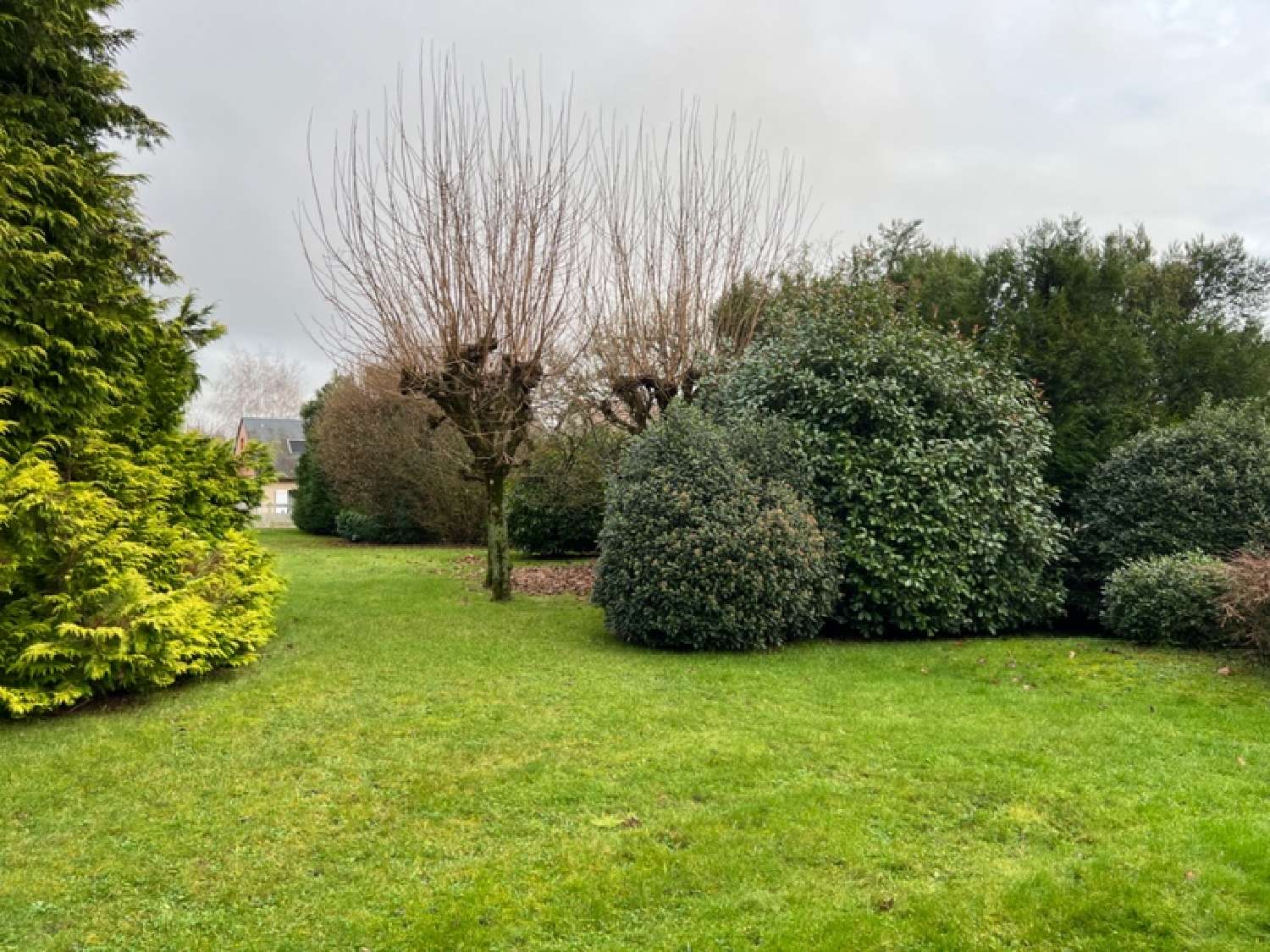 kaufen Grundstück Saint-Crépin-Ibouvillers Oise 4