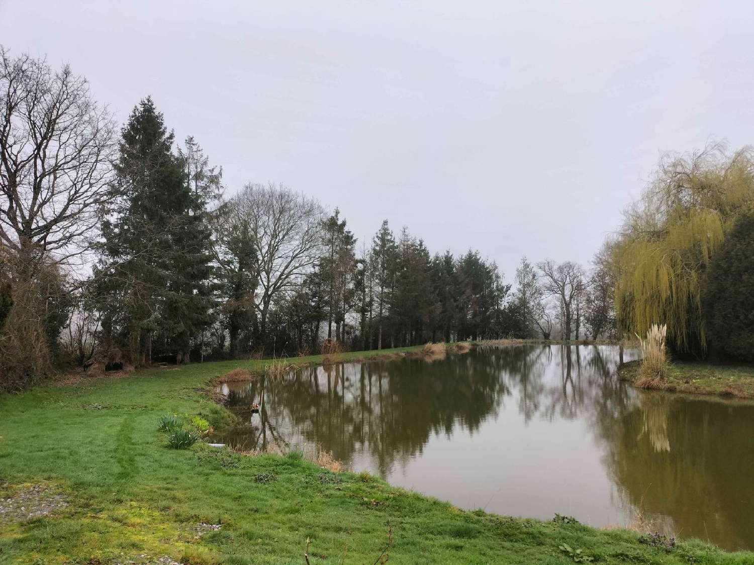 à vendre terrain Saint-Cyr-en-Pail Mayenne 2