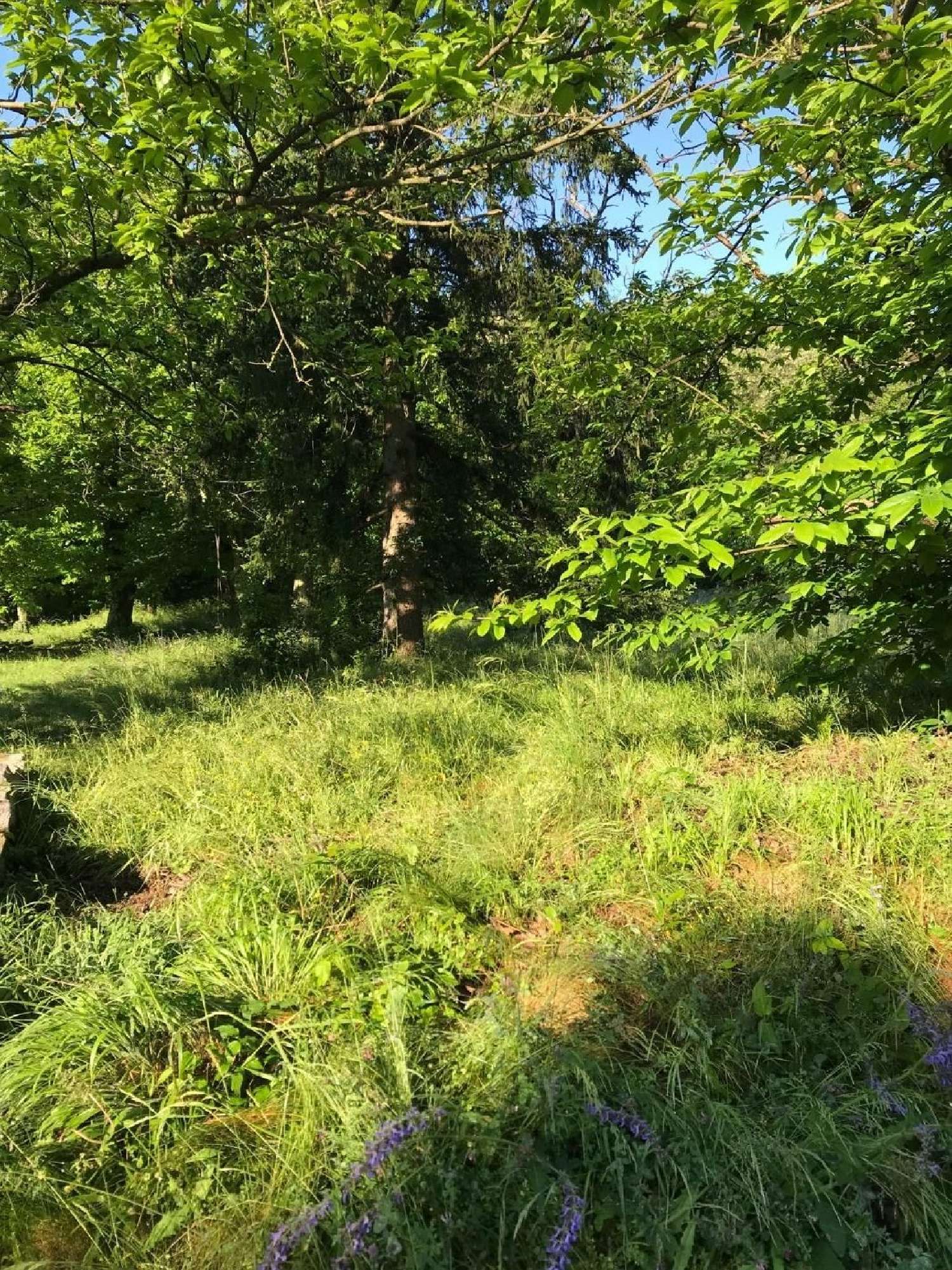  for sale terrain Saint-Florent-sur-Auzonnet Gard 1