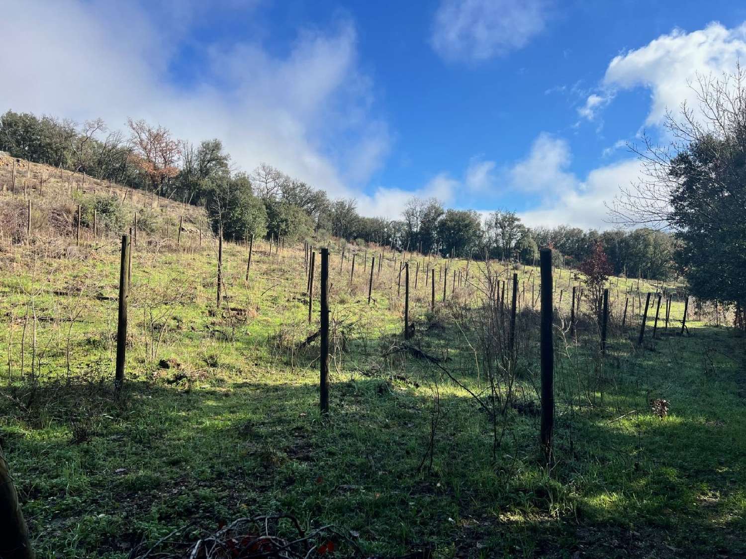  for sale terrain Saint-Julien Hérault 1