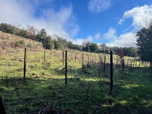 Saint-Julien Hérault terrain foto 7281694