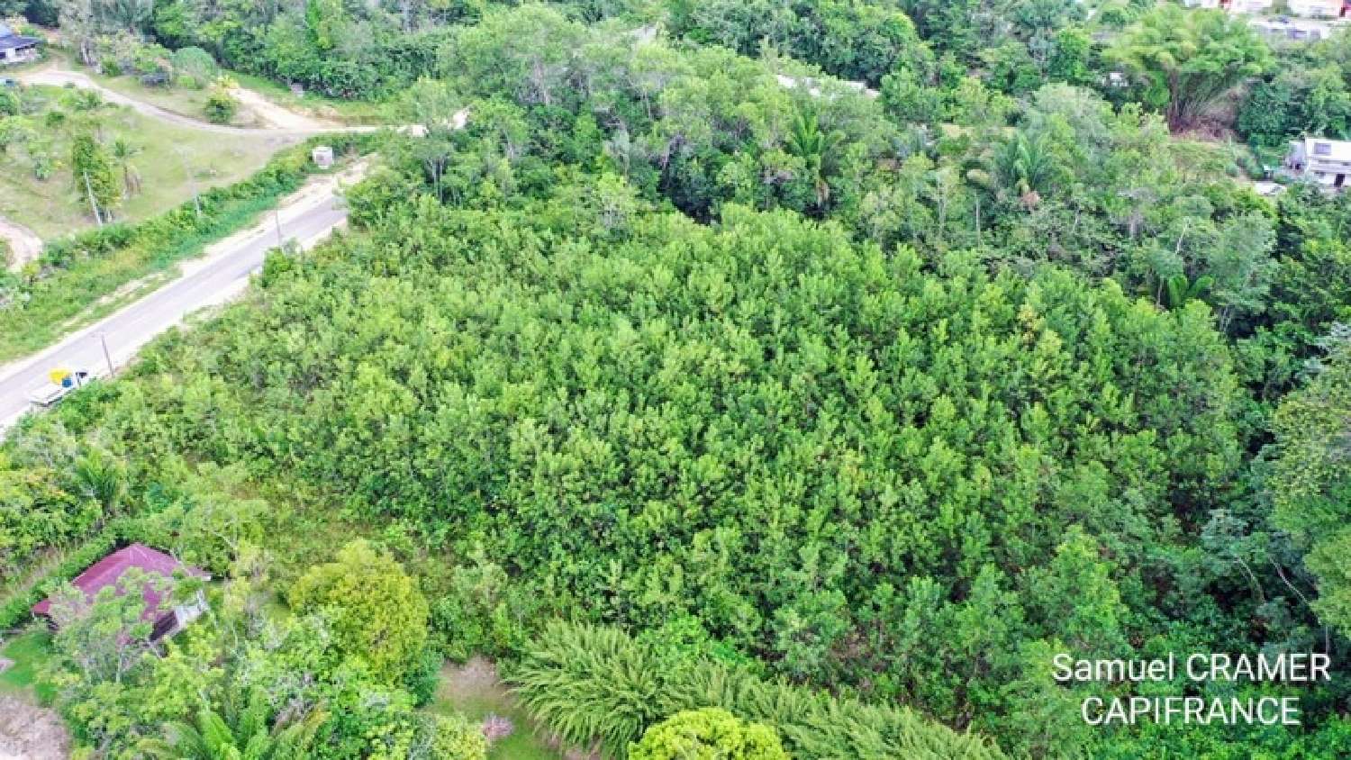  kaufen Grundstück Saint-Laurent-du-Maroni Guyane 3