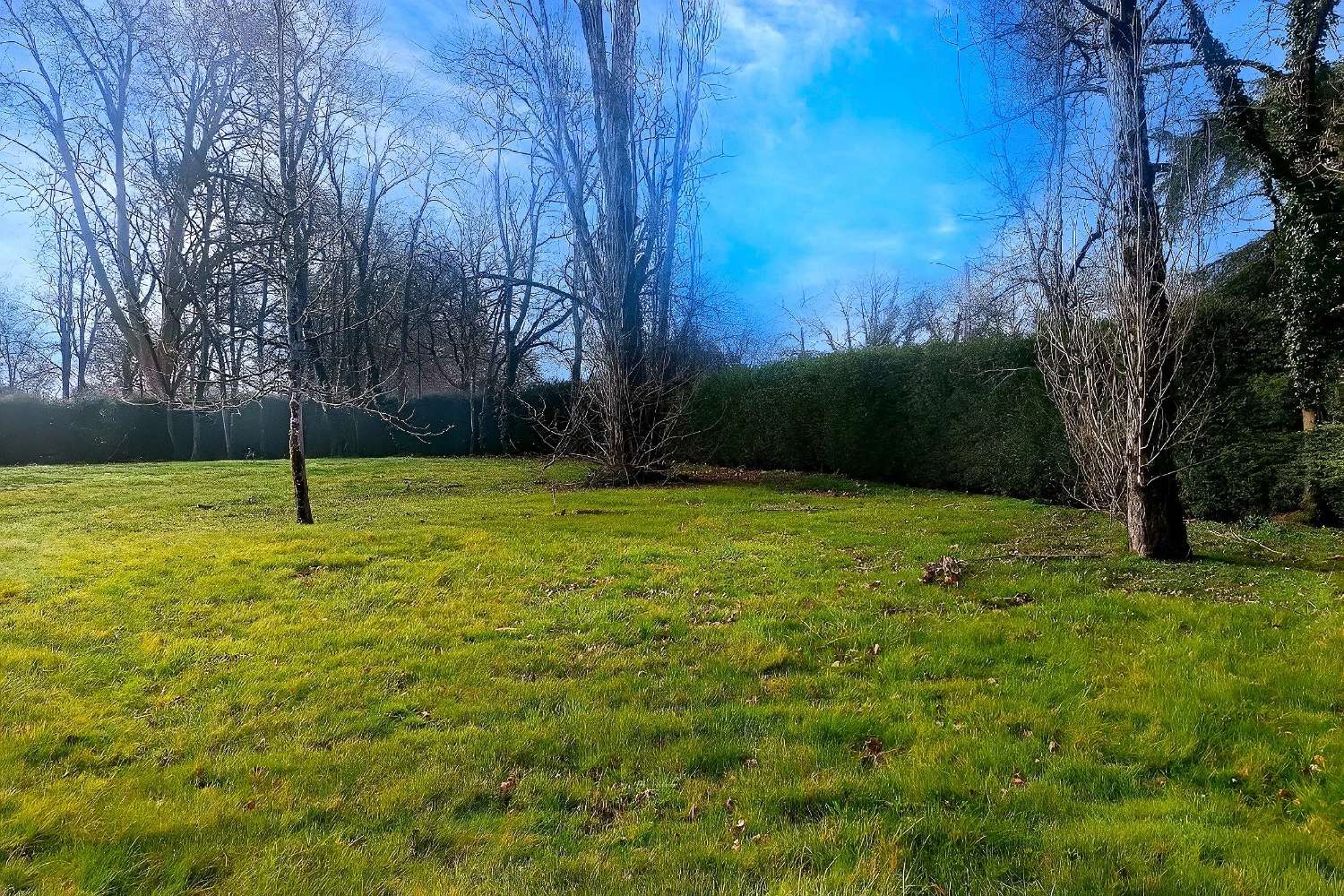 kaufen Grundstück Saint-Lieux-lès-Lavaur Tarn 2