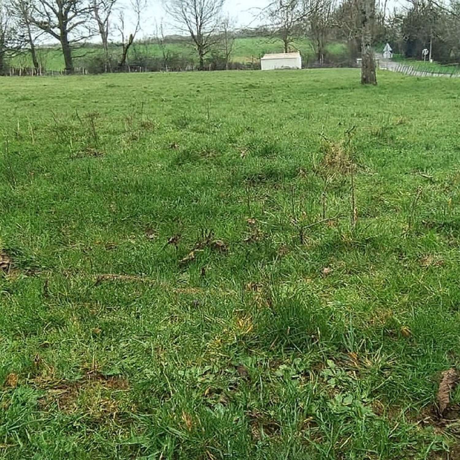  kaufen Grundstück Saint-Martin-de-Saint-Maixent Deux-Sèvres 1
