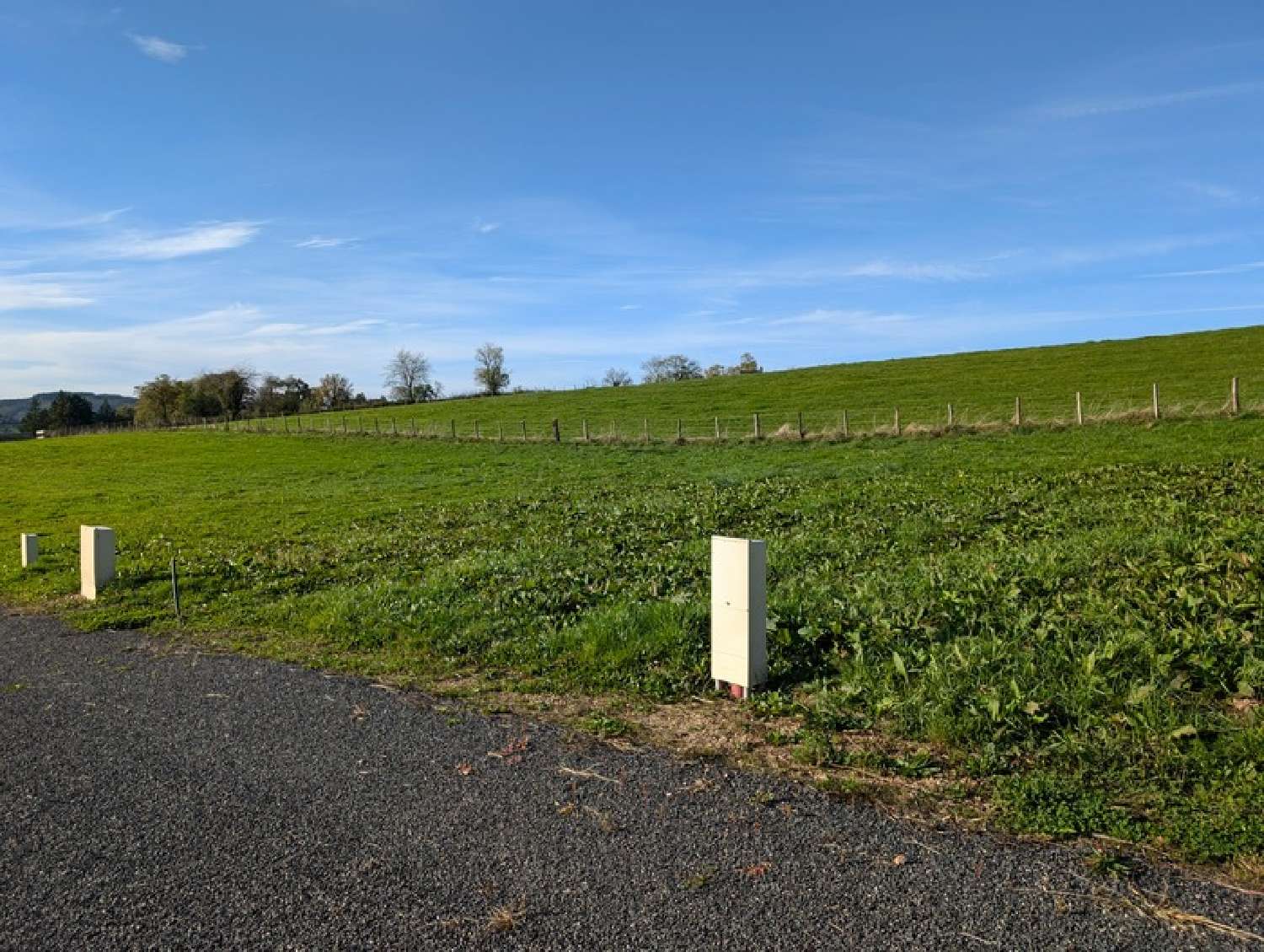  for sale terrain Saint-Martin-d'Estréaux Loire 7