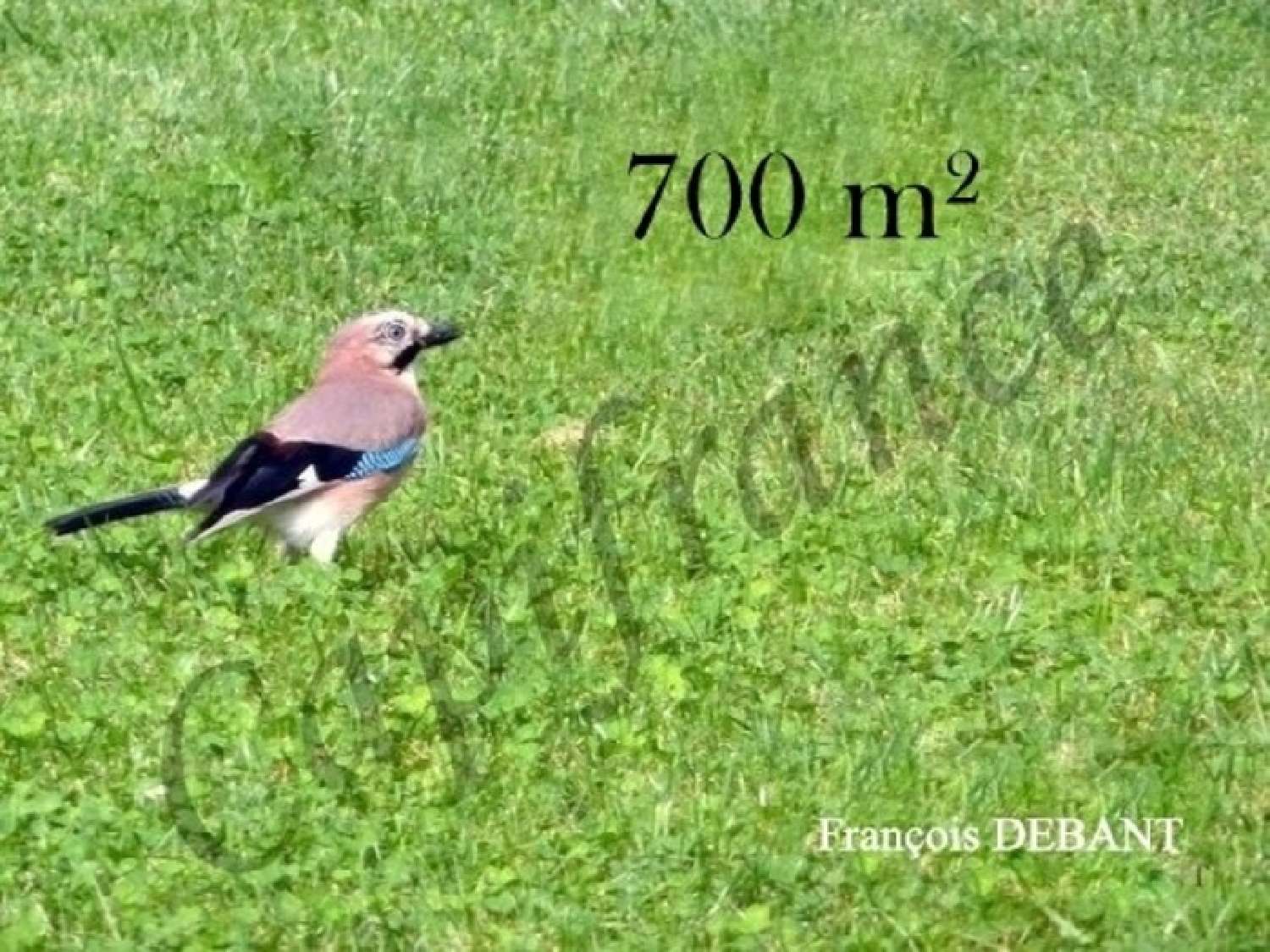  kaufen Grundstück Saint-Masmes Marne 1