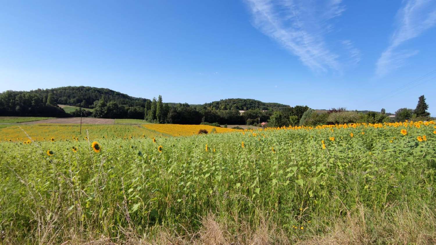  te koop terrein Saint-Pantaléon Lot 2