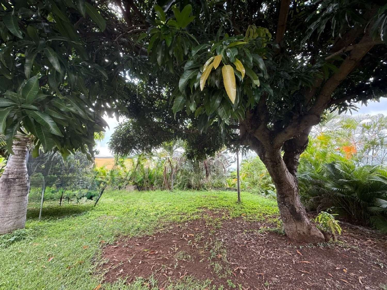  te koop terrein Saint-Paul La Réunion 6