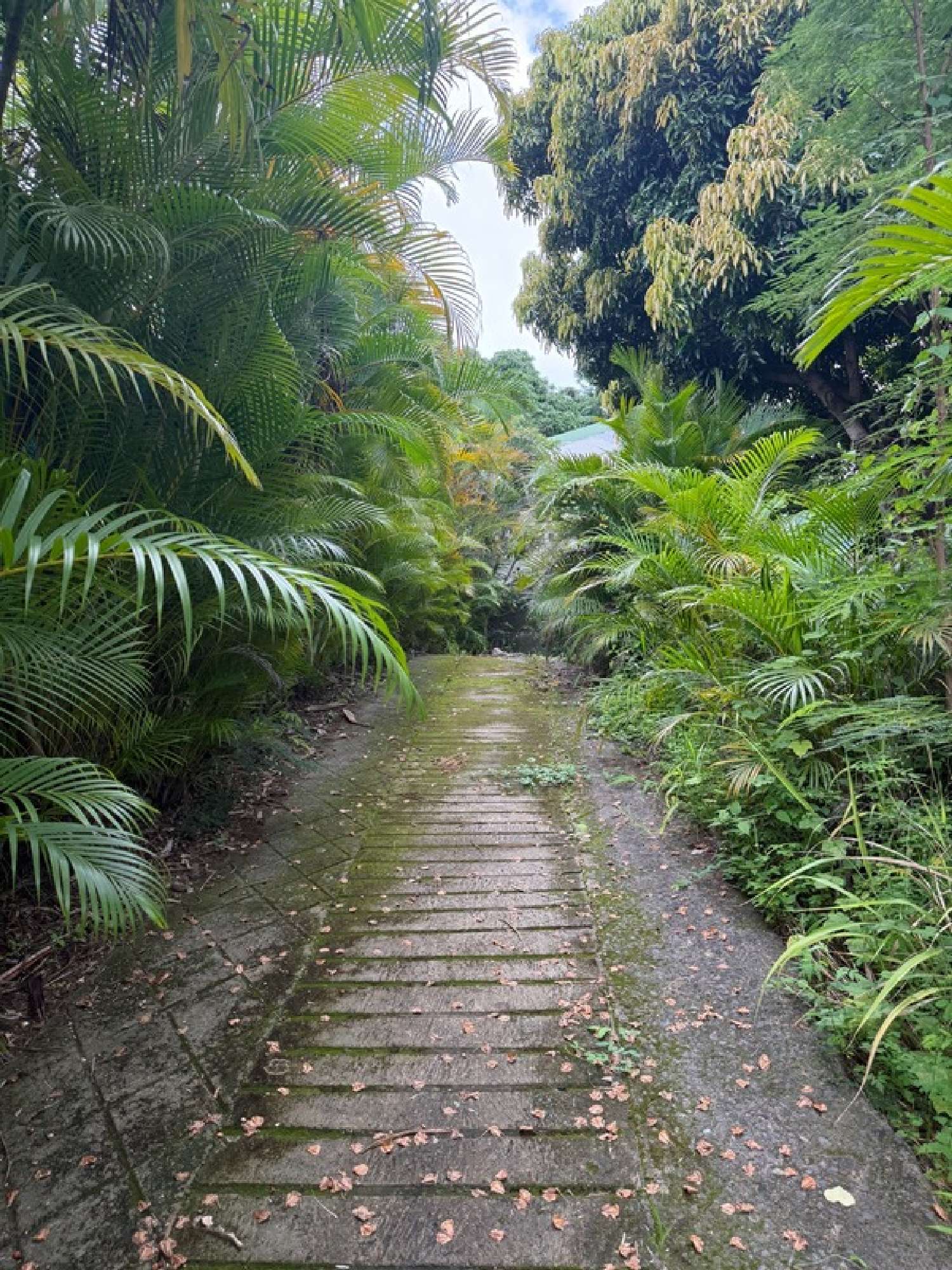  te koop terrein Saint-Paul La Réunion 7