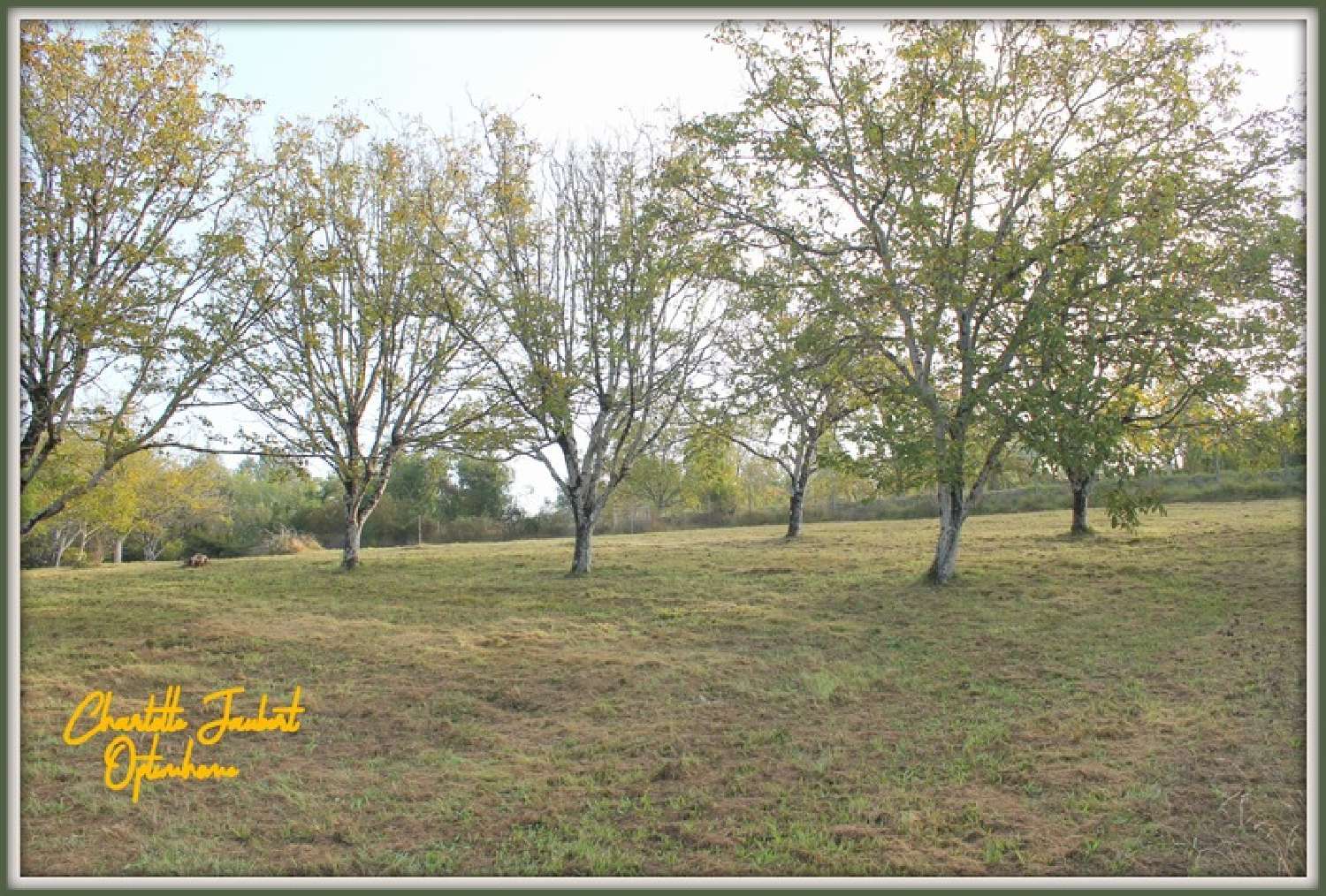  kaufen Grundstück Saint-Quentin-de-Chalais Charente 1