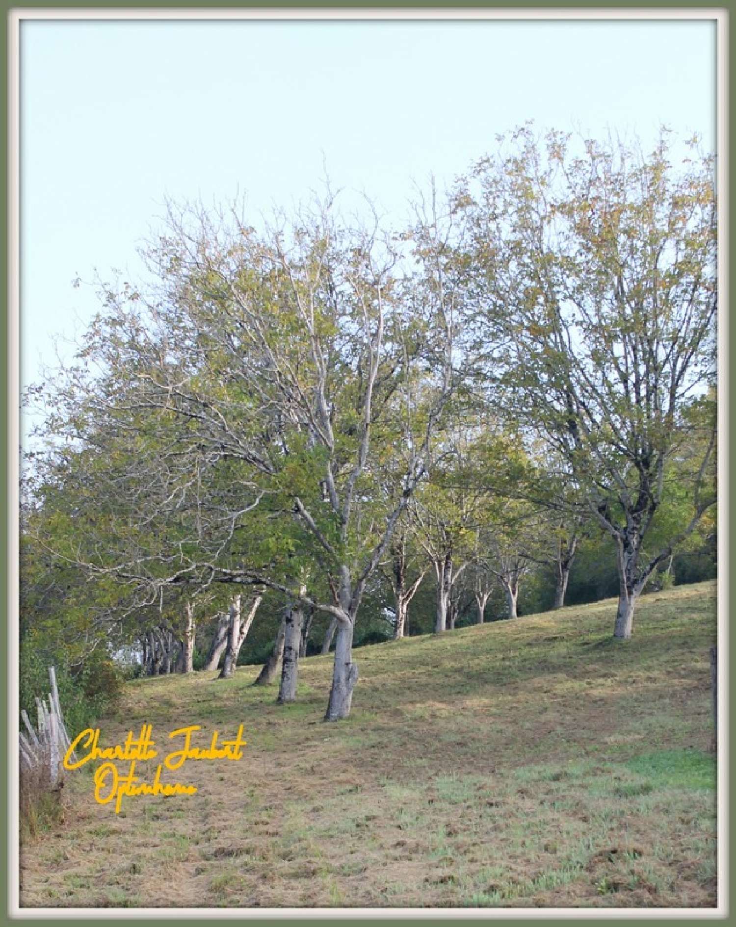  kaufen Grundstück Saint-Quentin-de-Chalais Charente 3